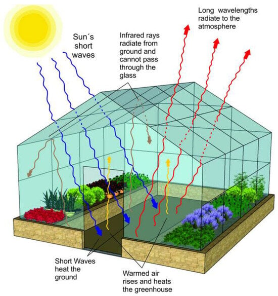 Assessing the Physical and Environmental Aspects of Greenhouse 