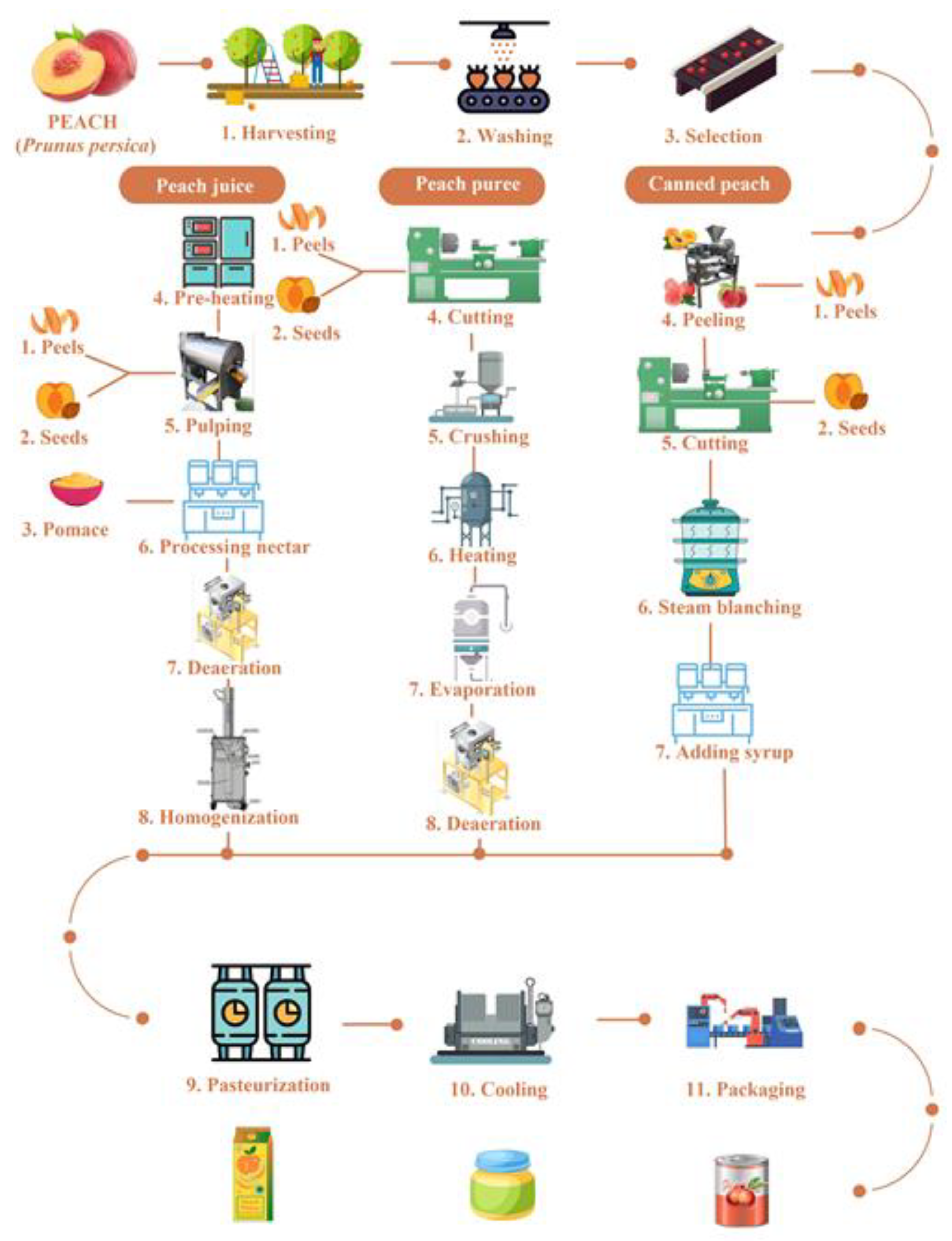 Sustainability 16 01289 g001