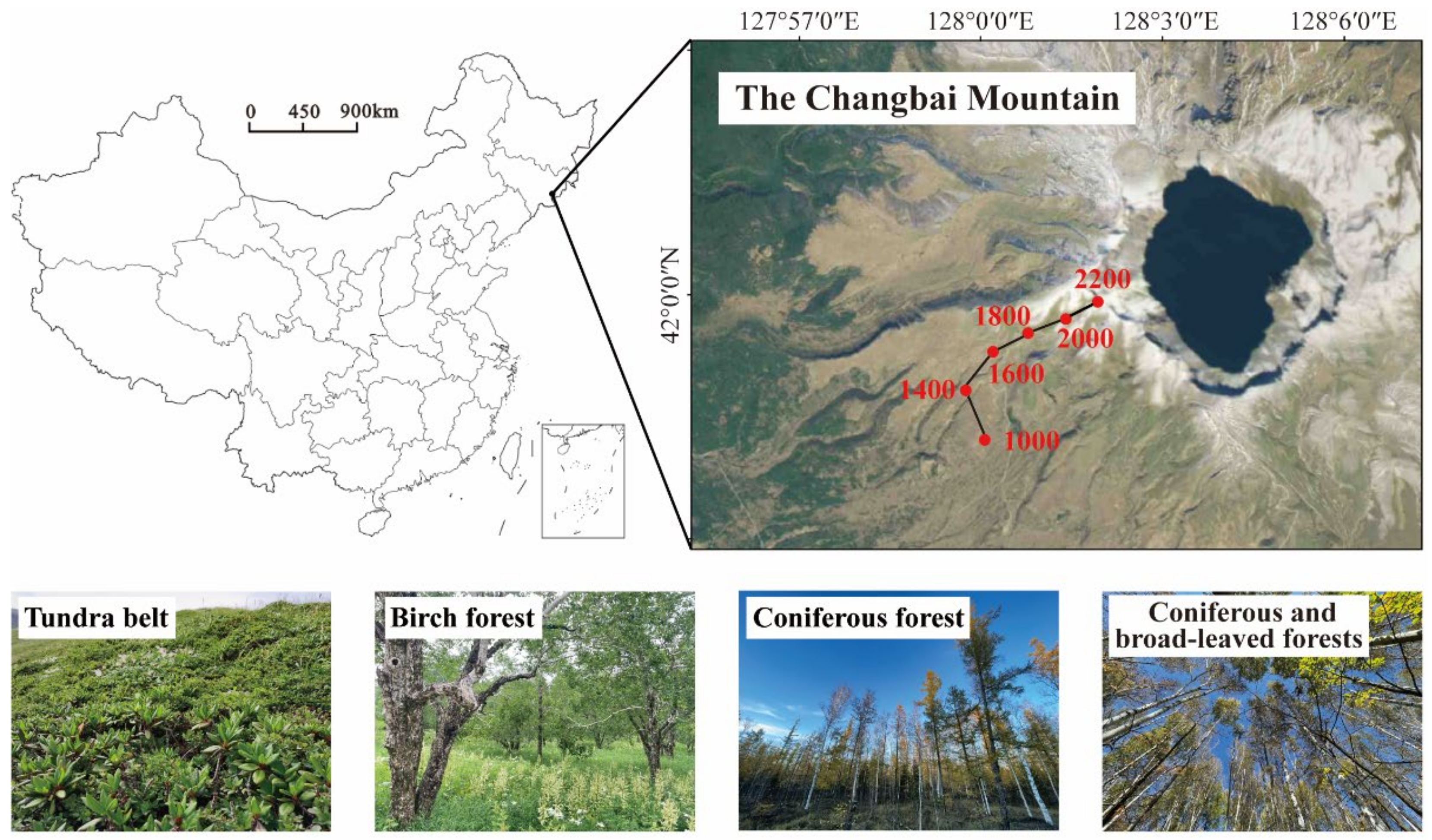 Sustainability 16 01350 g001 Sustainability 16 01350 g001
