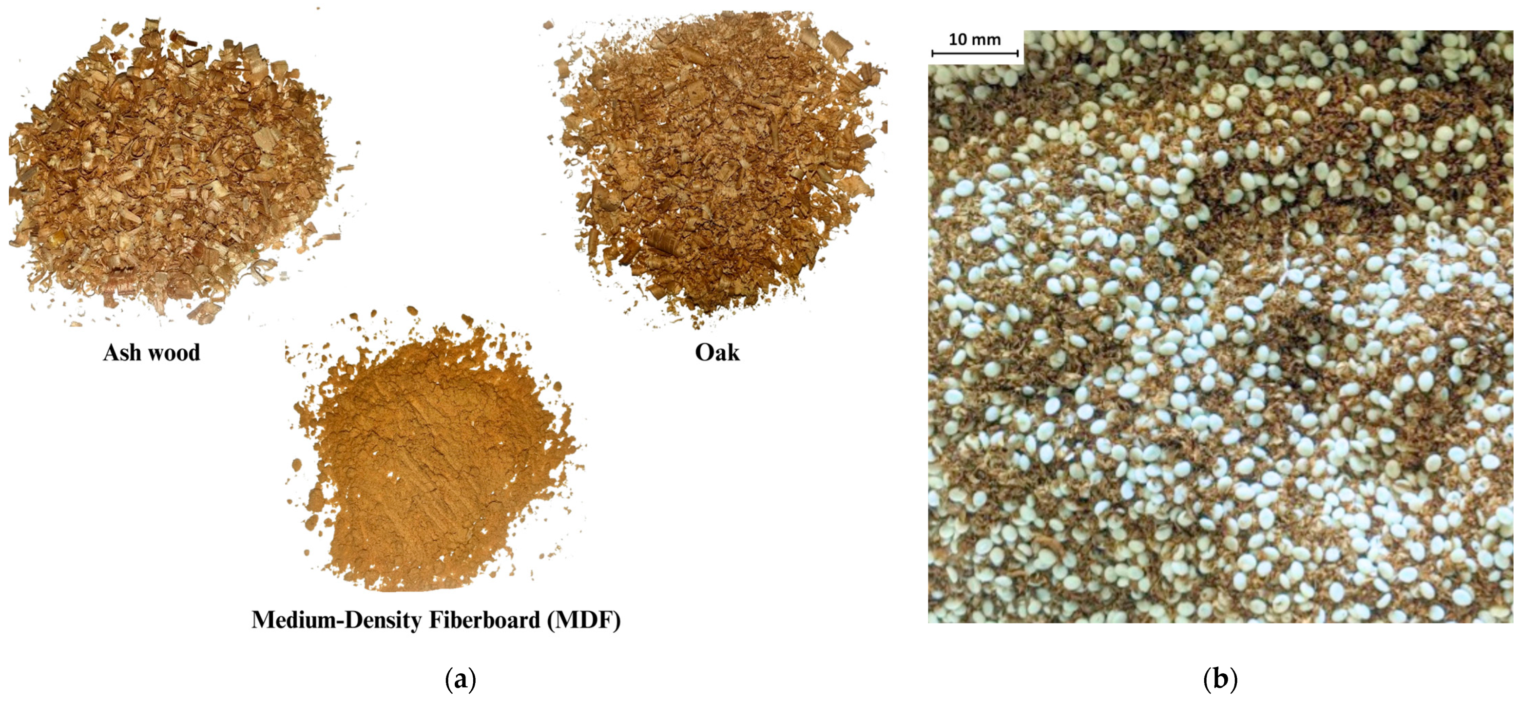 Sustainability 16 01370 g003 Sustainability 16 01370 g003