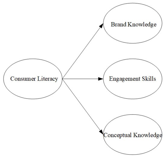 Sustainability Free Full Text Consumer Literacy in Virtual