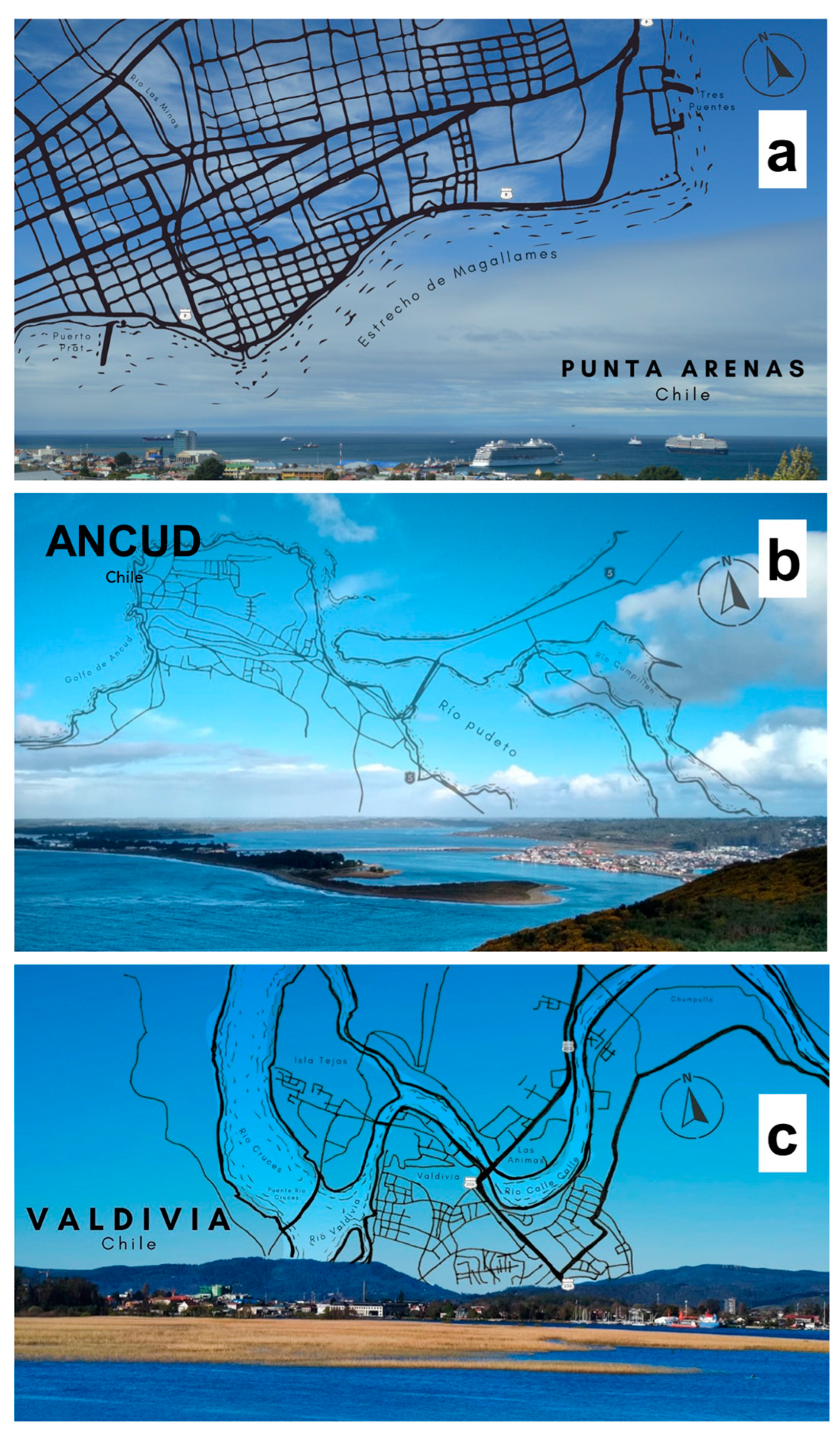 Sustainability 16 01431 g001