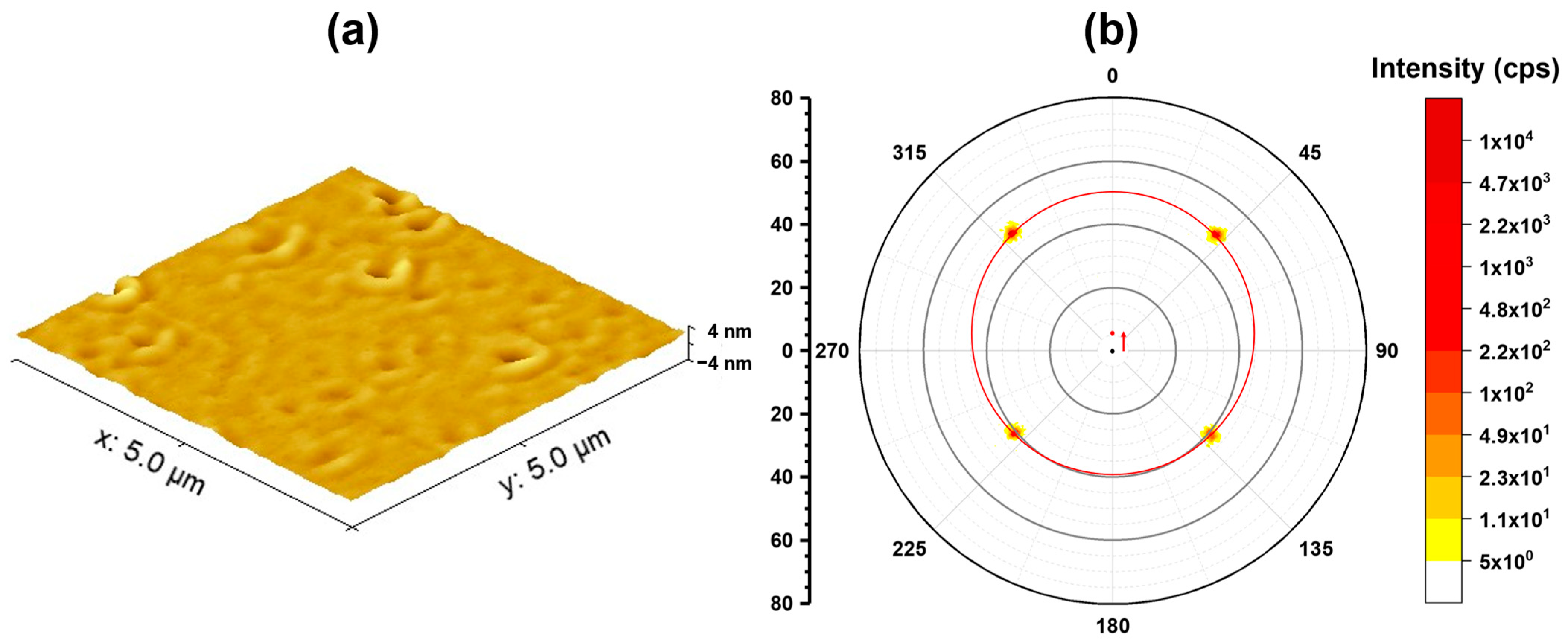 Sustainability 16 01444 g004