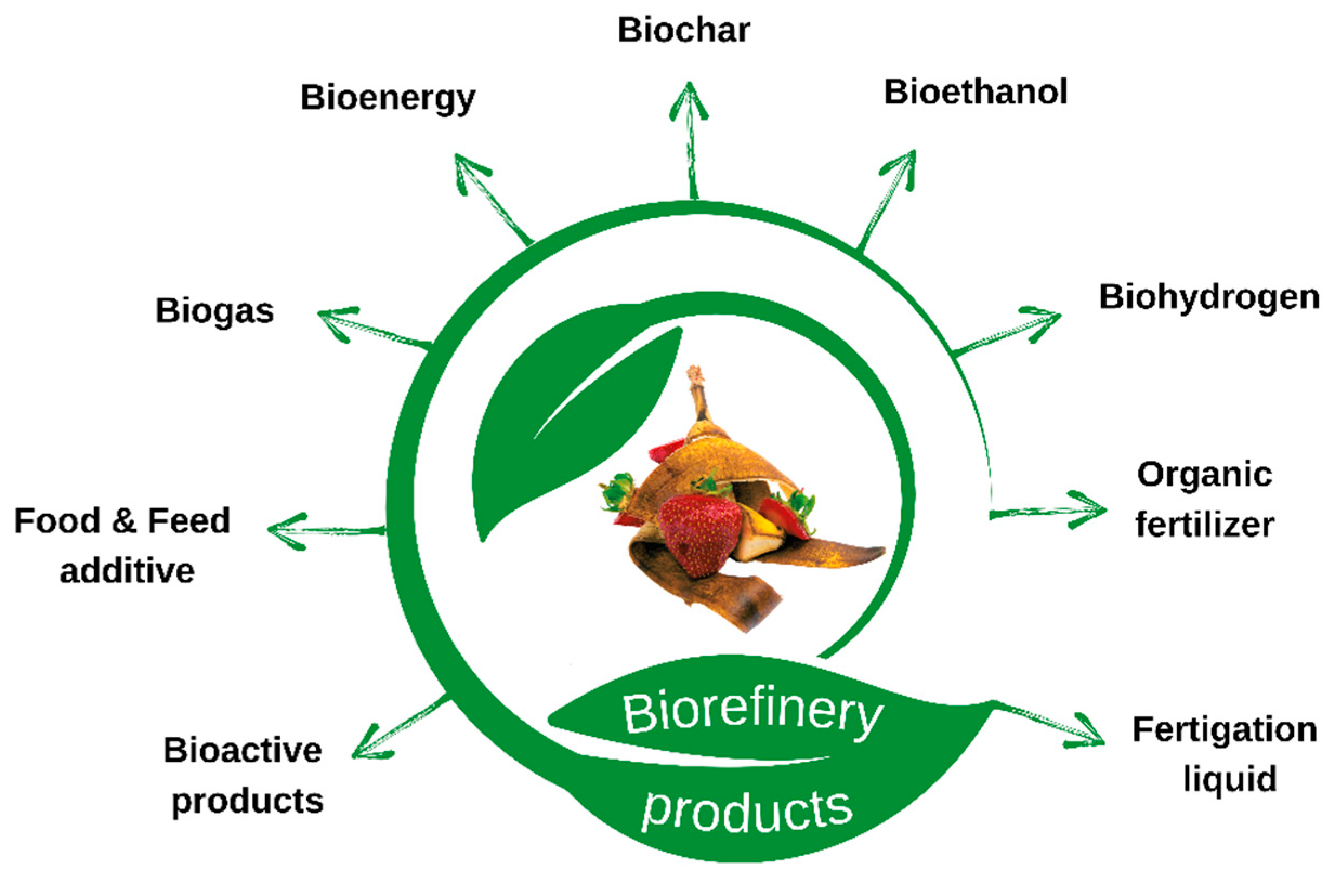 Sustainability 16 01717 g001