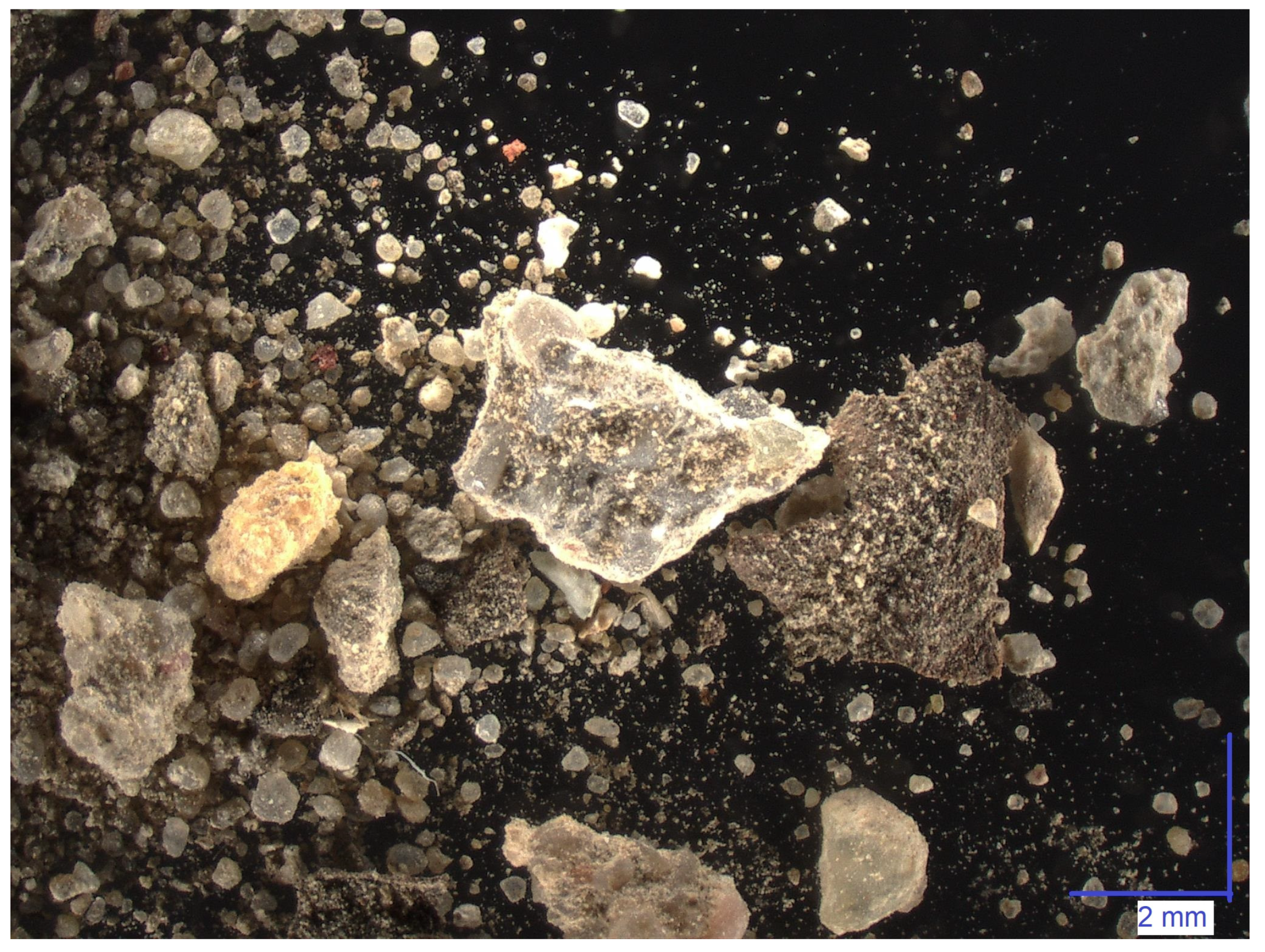 Sustainability 16 01773 g001