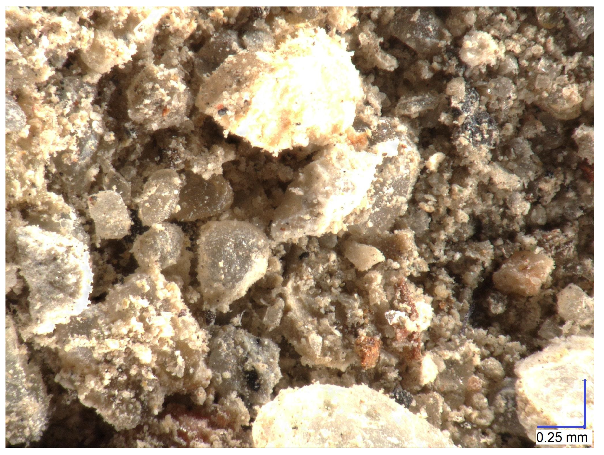 Sustainability 16 01773 g002