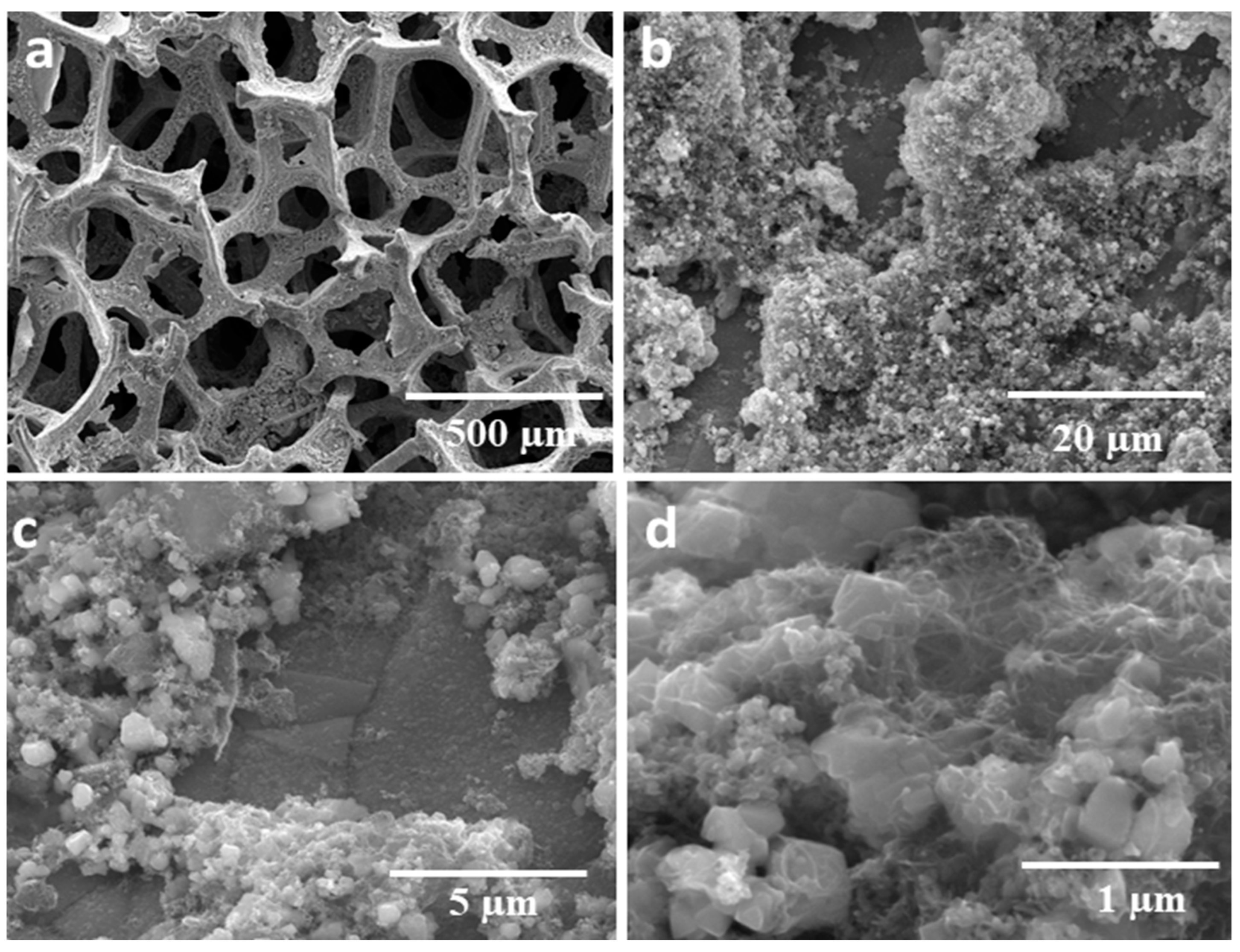 Sustainability 16 01953 g004