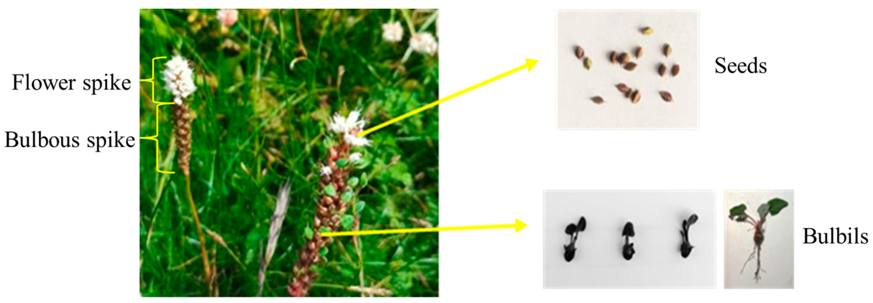 Sustainability 16 01984 g002