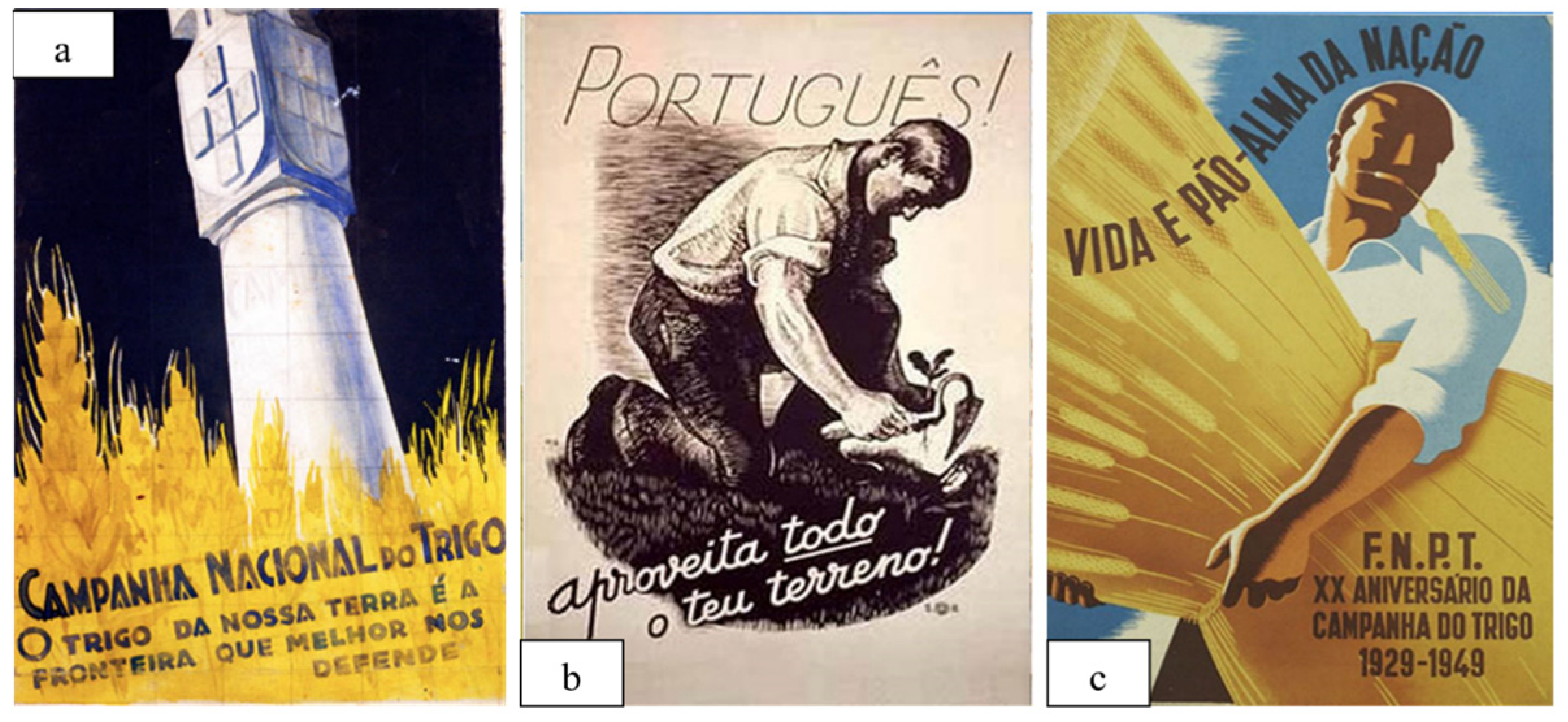 Sustainability 16 02116 g001 Sustainability 16 02116 g001