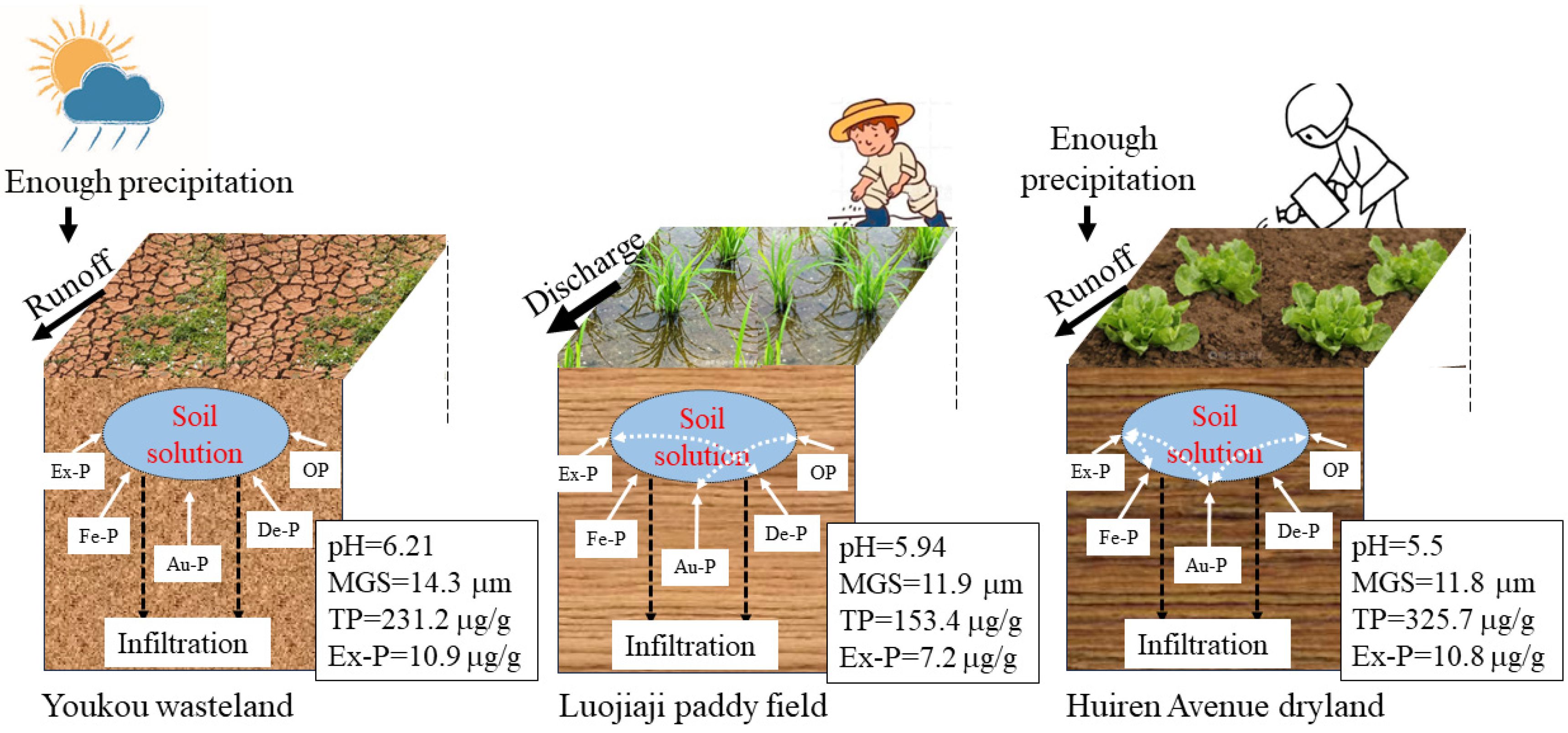 Sustainability 16 02142 g006