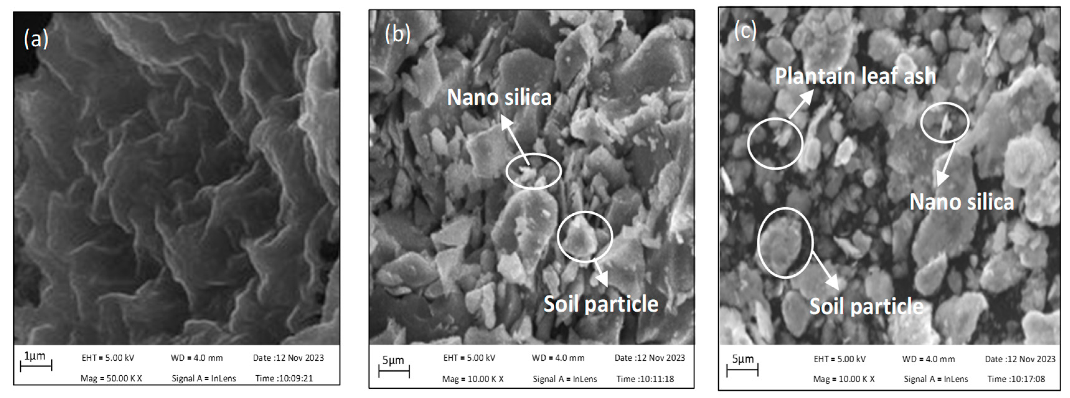 Sustainability 16 02157 g009
