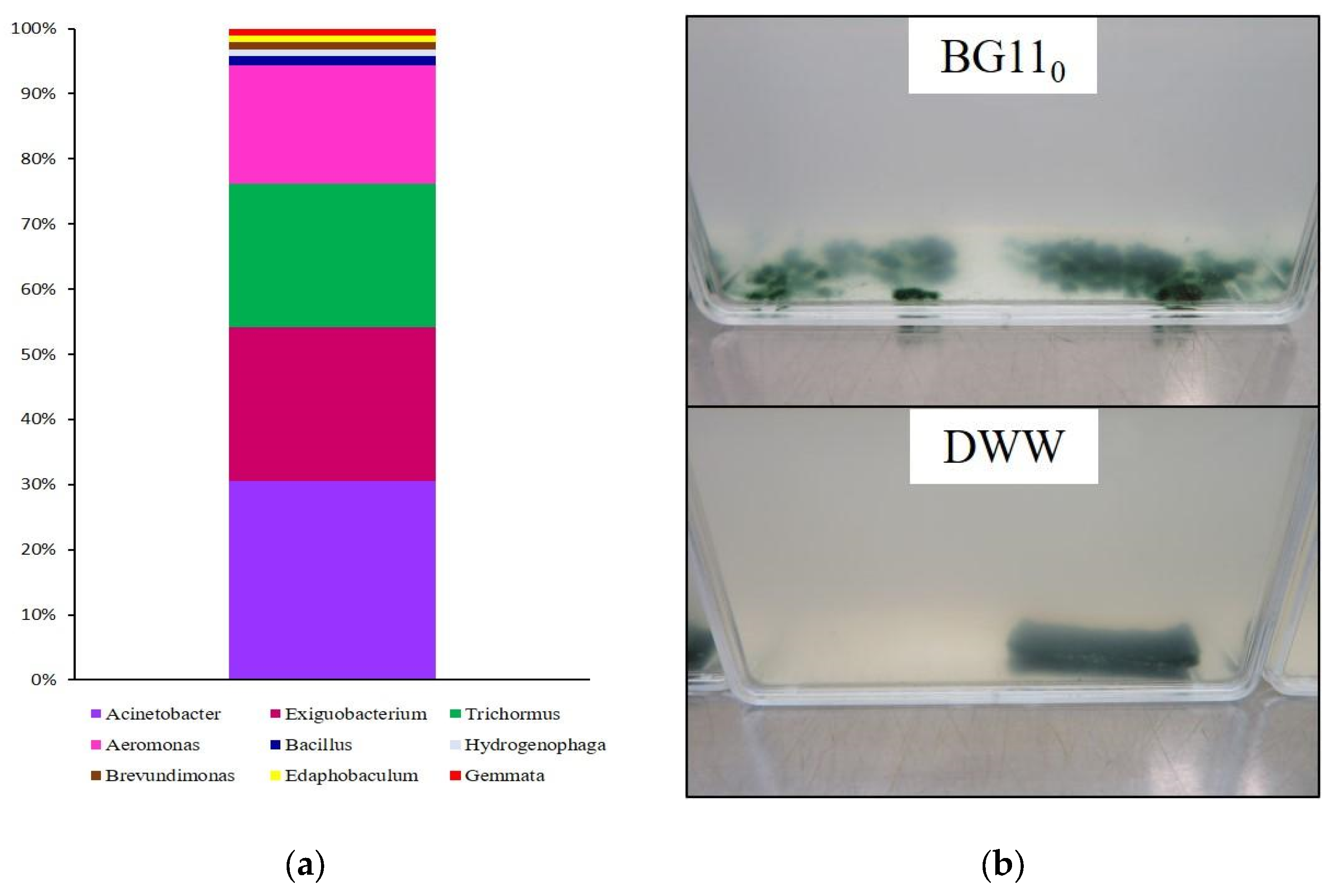 Sustainability 16 02227 g002