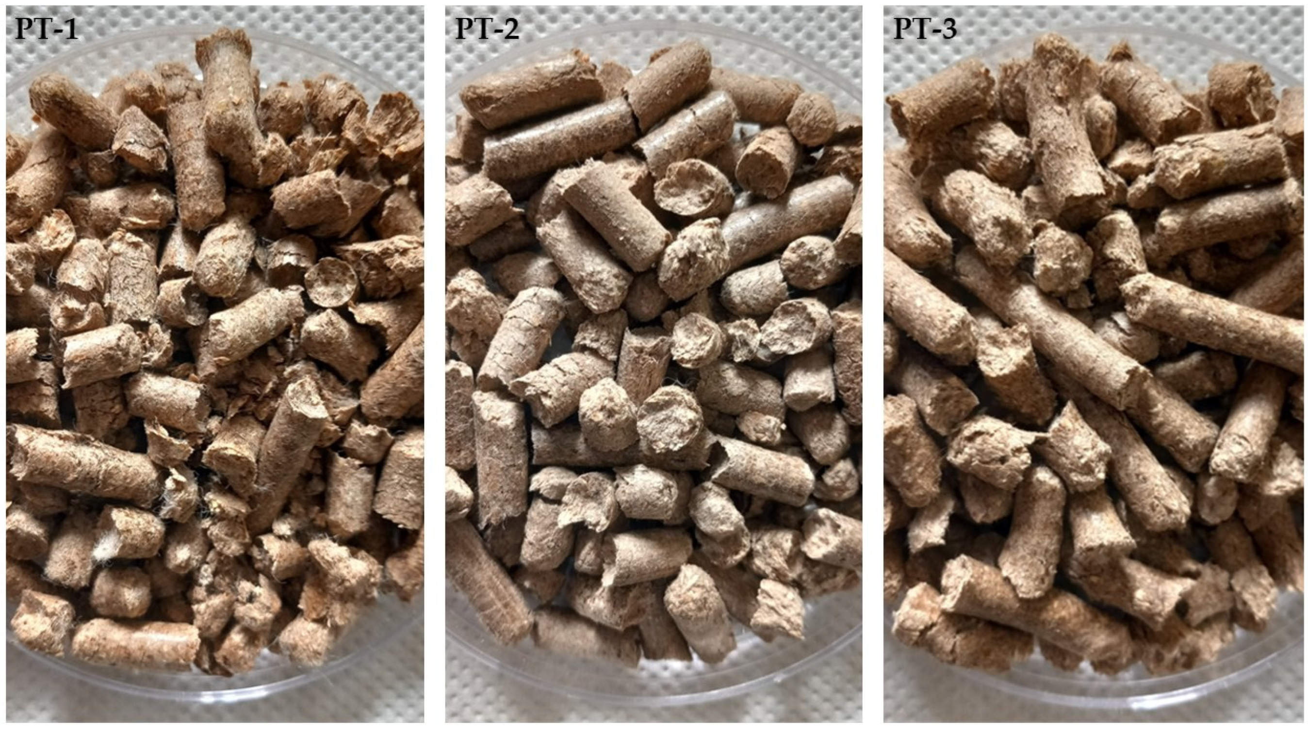 Sustainability 16 02228 g002