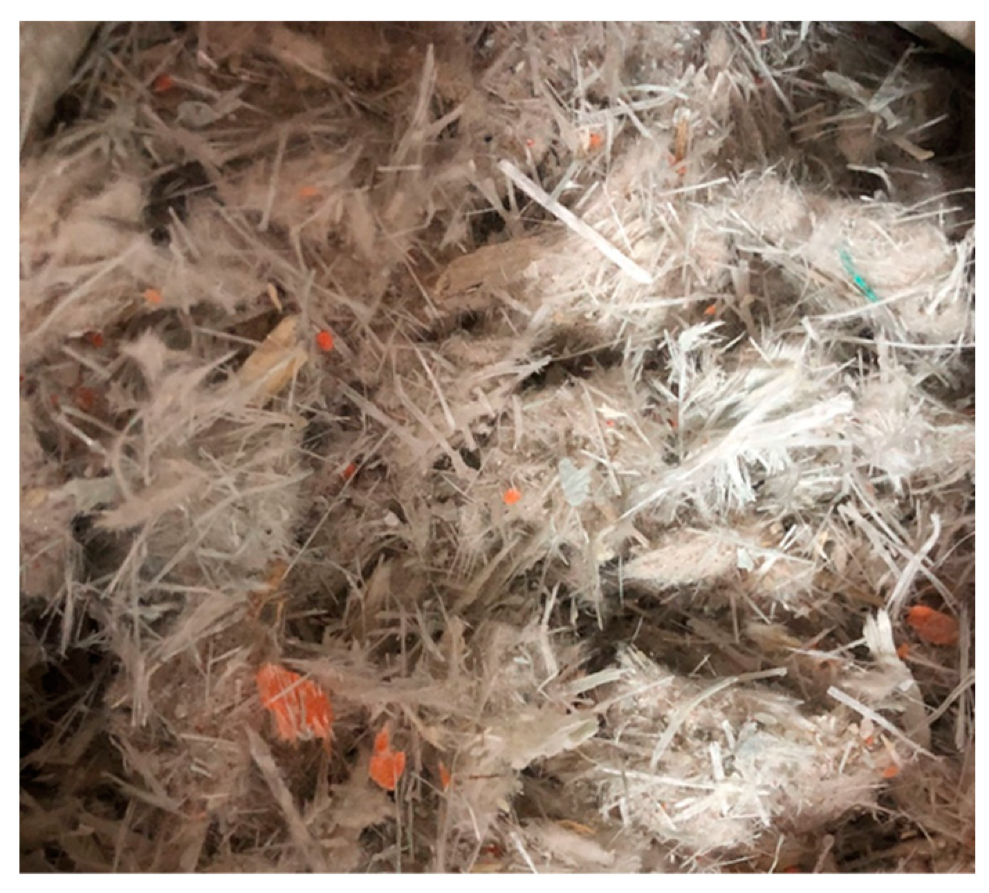 Sustainability 16 02343 g001