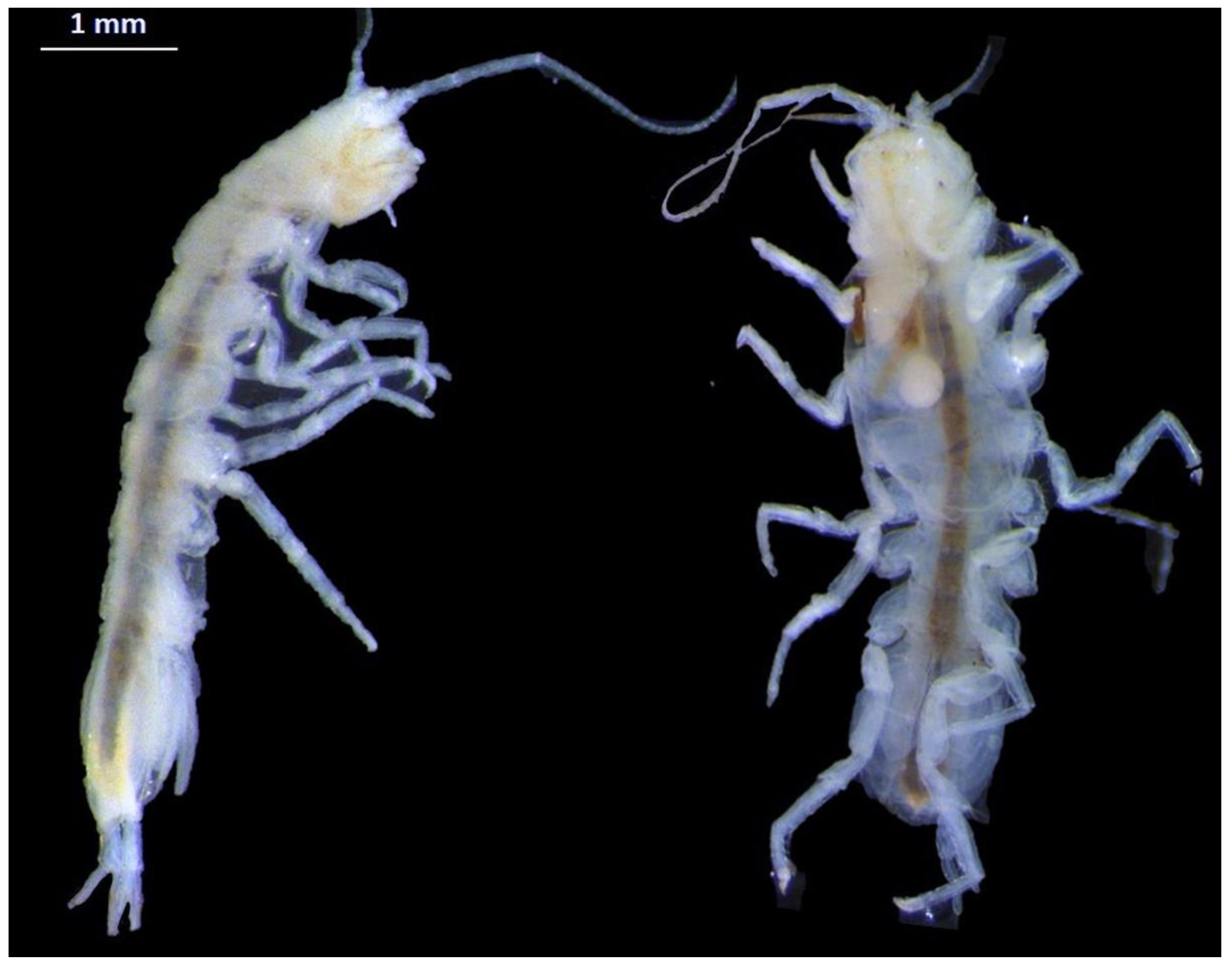 Sustainability 16 02532 g002