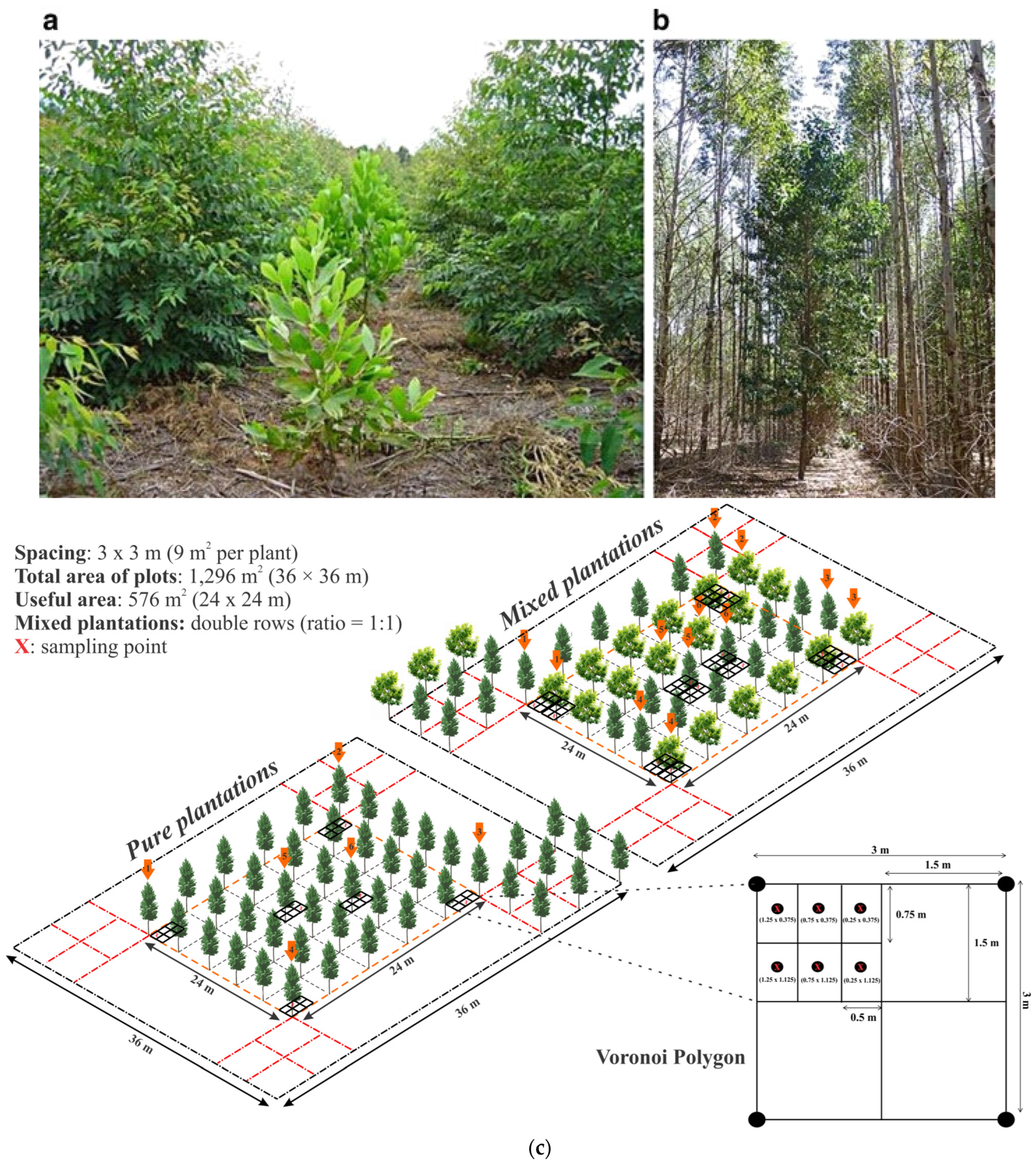 Sustainability 16 02534 g001