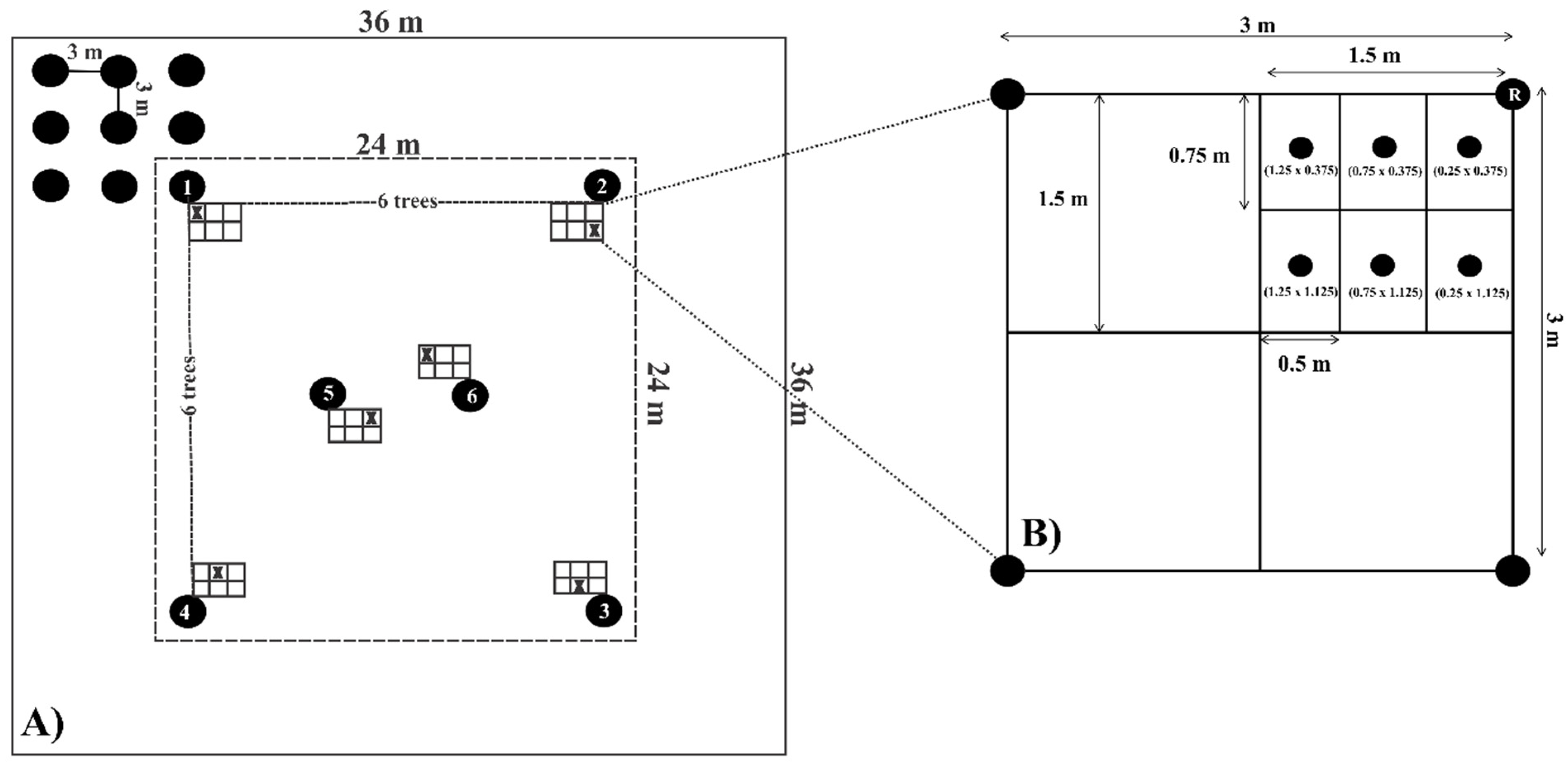 Sustainability 16 02534 g002