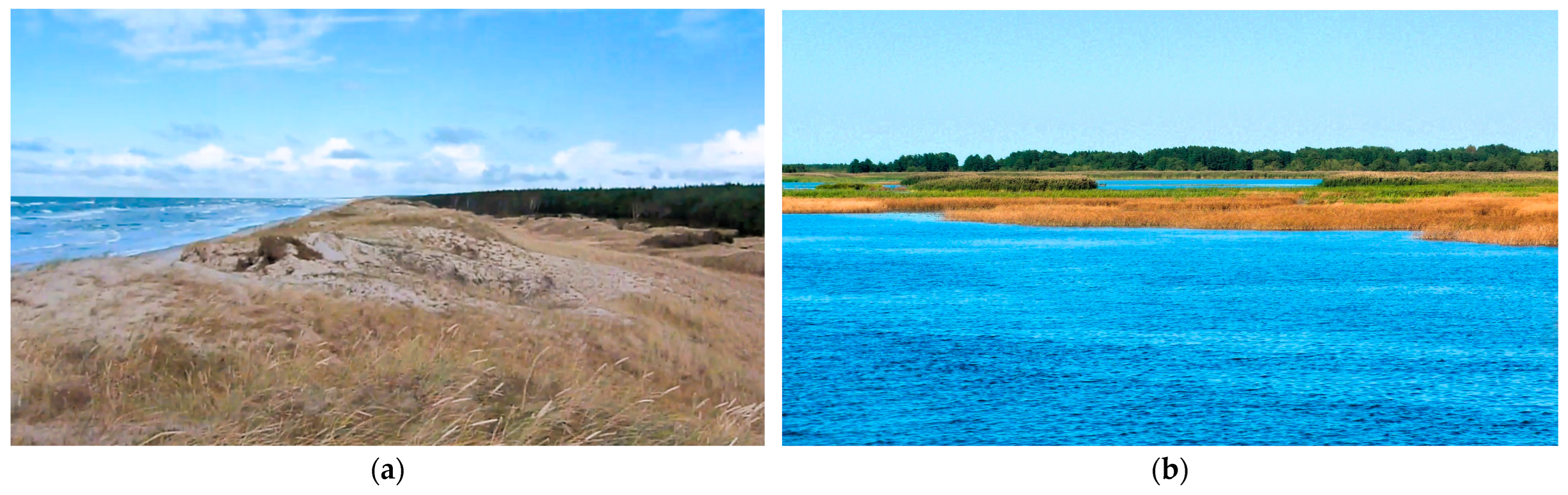 Sustainability 16 02544 g003