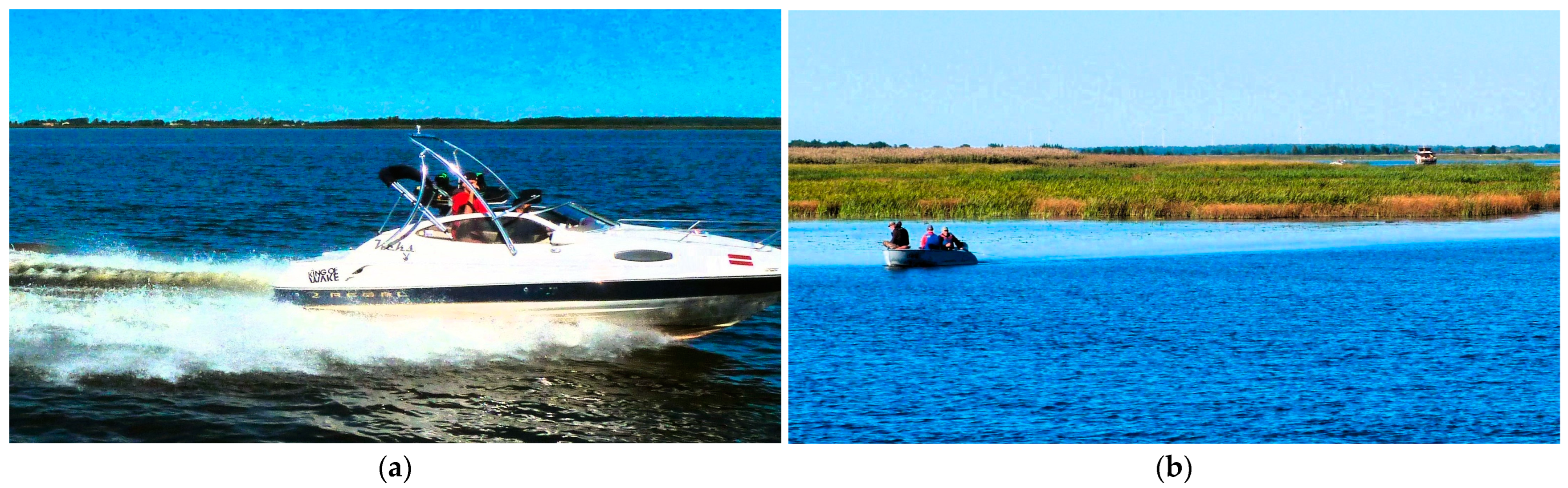 Sustainability 16 02544 g008