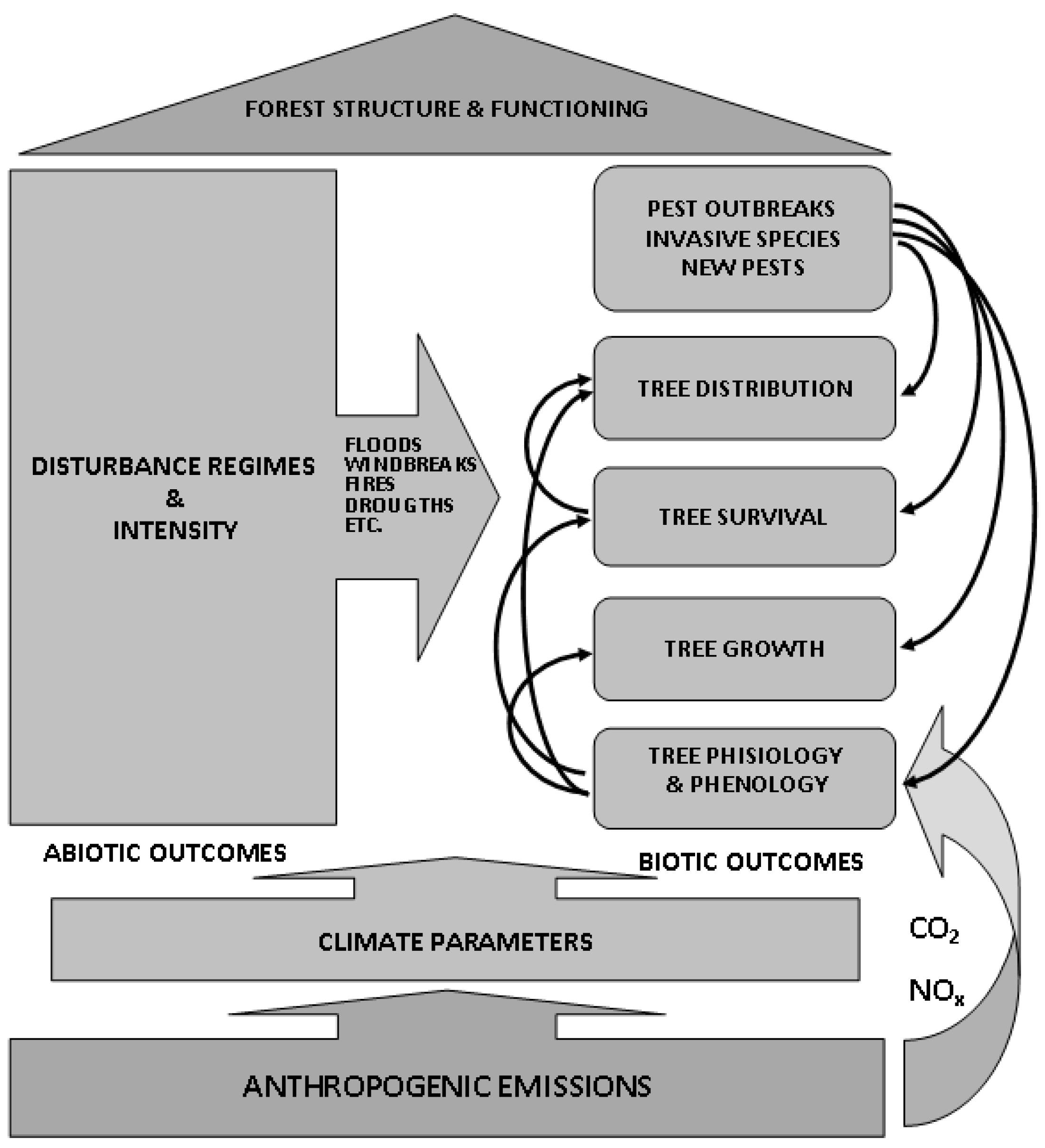 Sustainability | Free Full-Text | Adaptive Silviculture and Climate  Change—A Forced Marriage of the 21st Century?