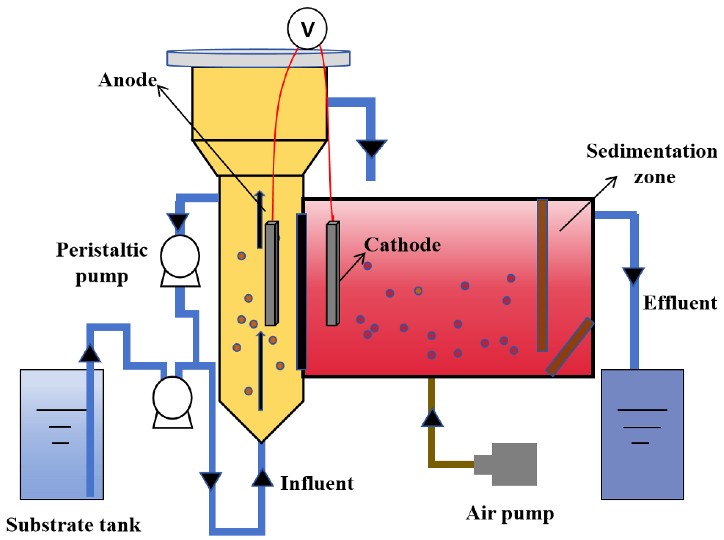 Sustainability 16 02705 g002