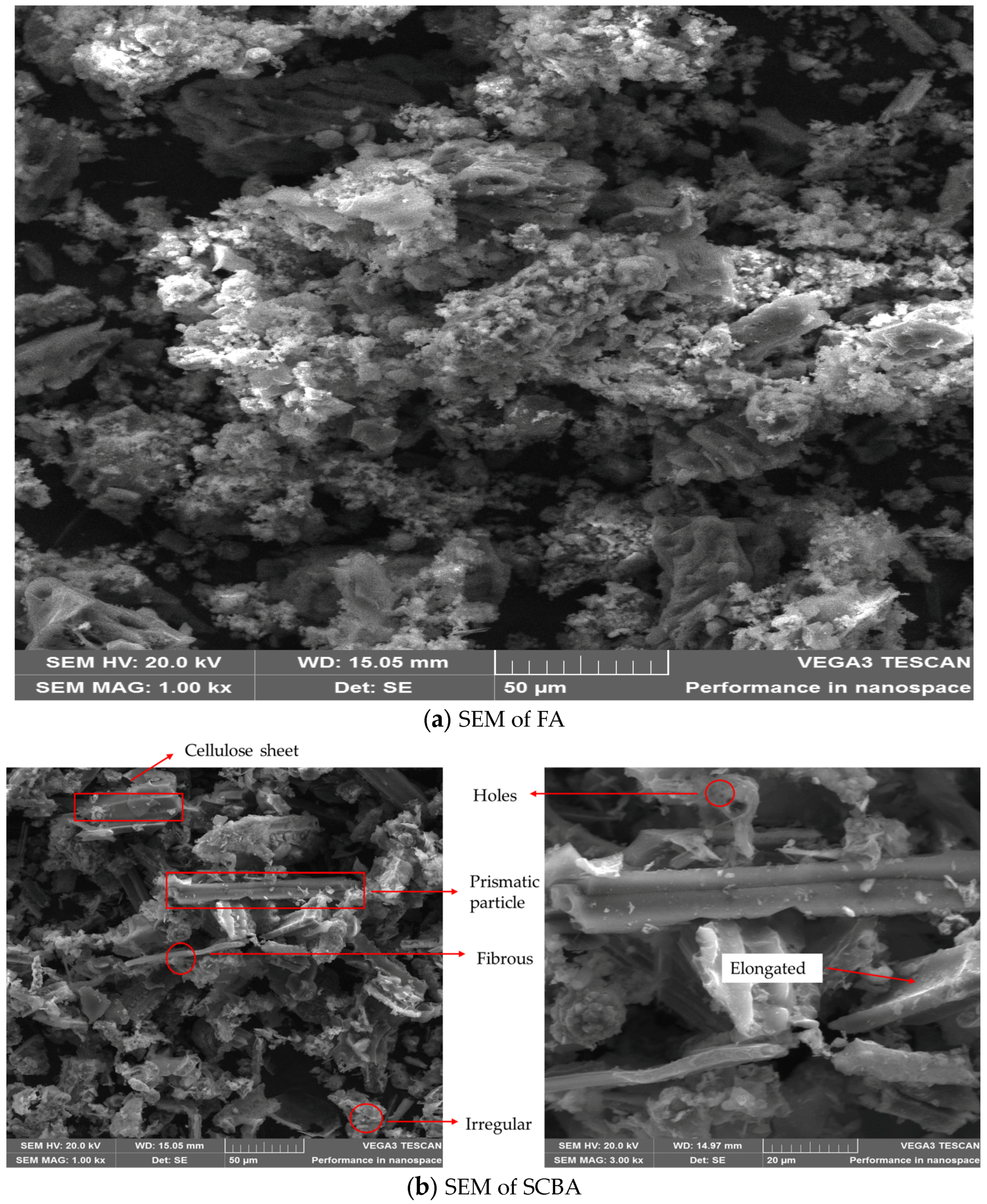 Sustainability 16 02841 g002