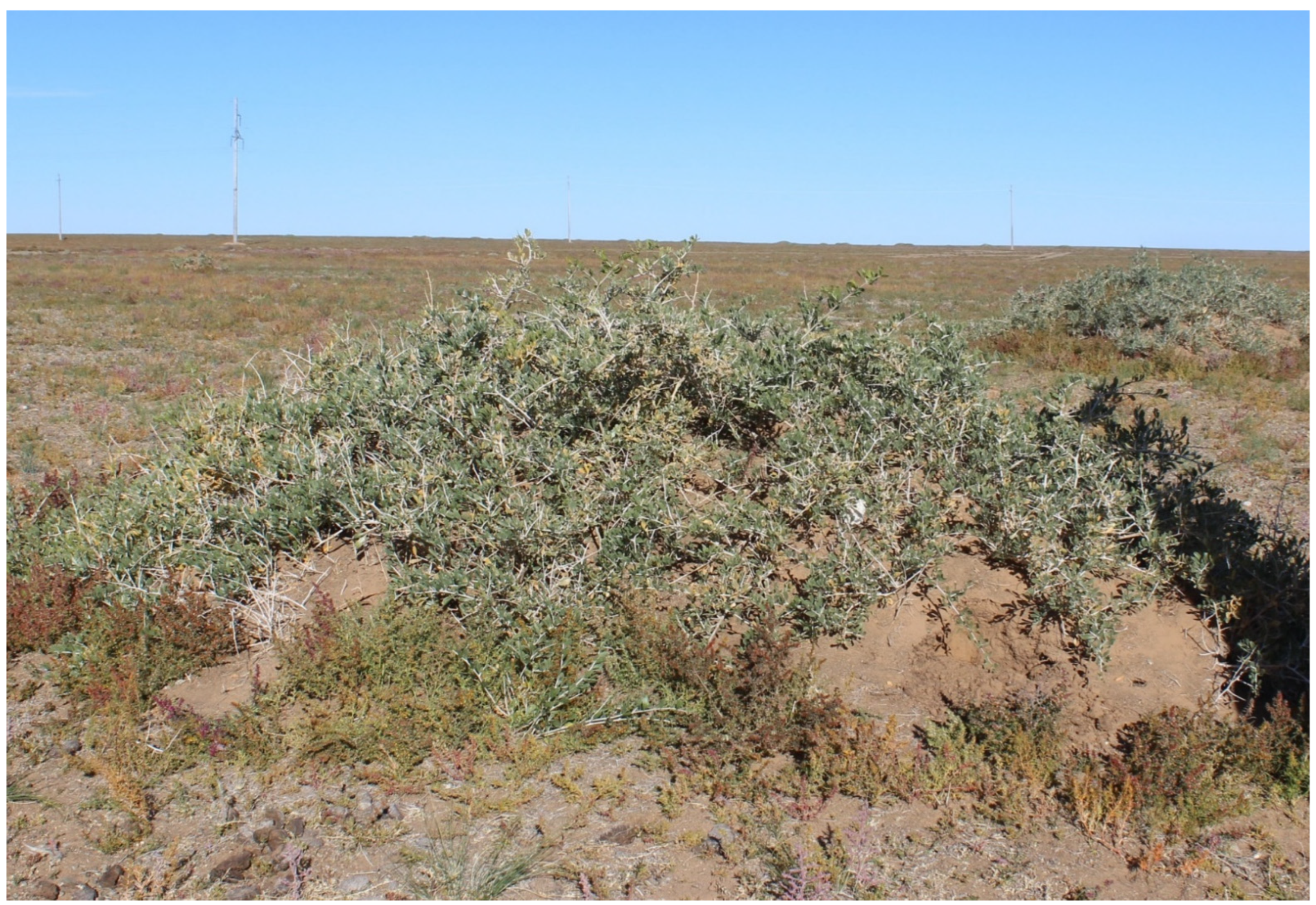 Sustainability 16 02867 g003