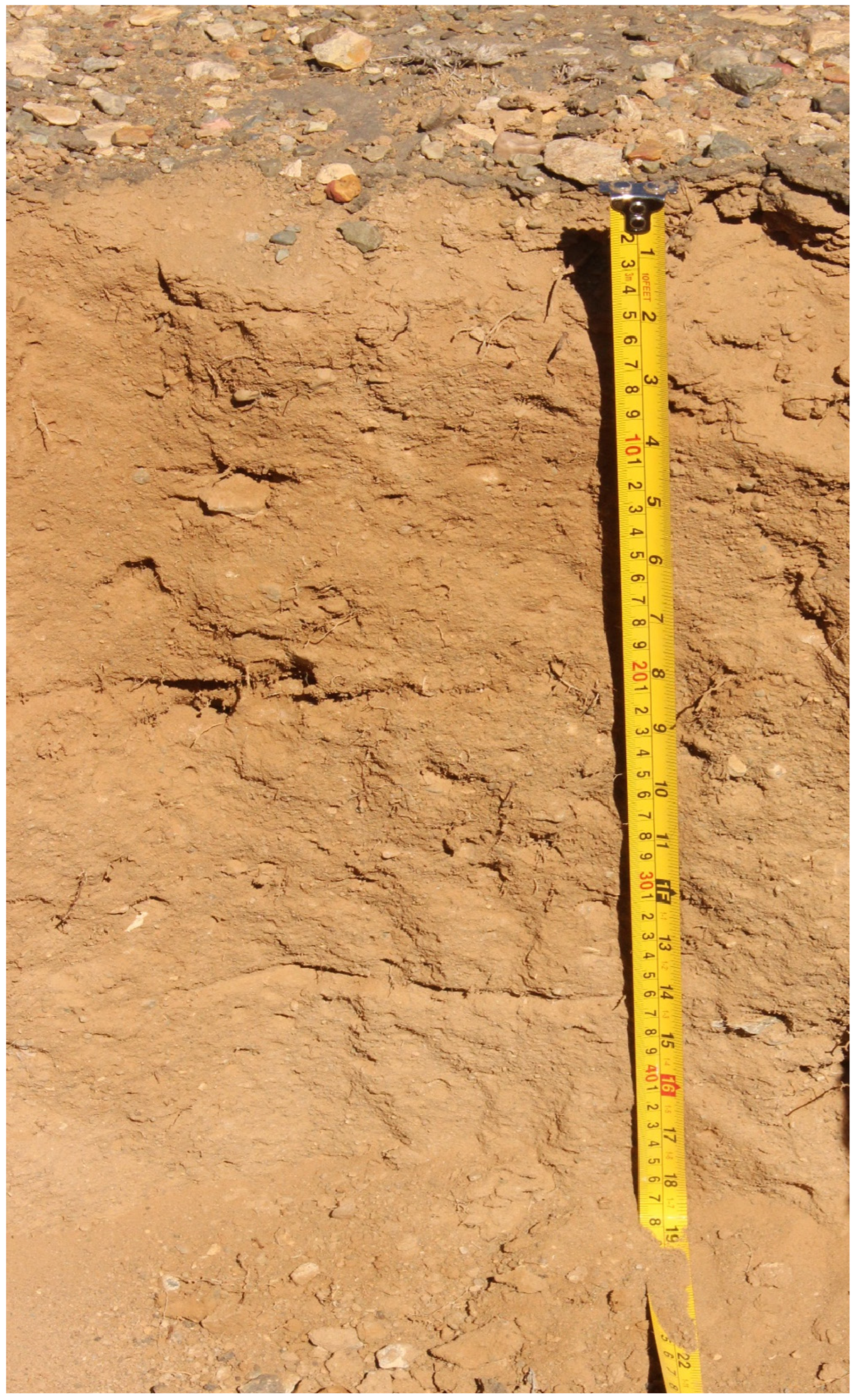 Sustainability 16 02867 g005