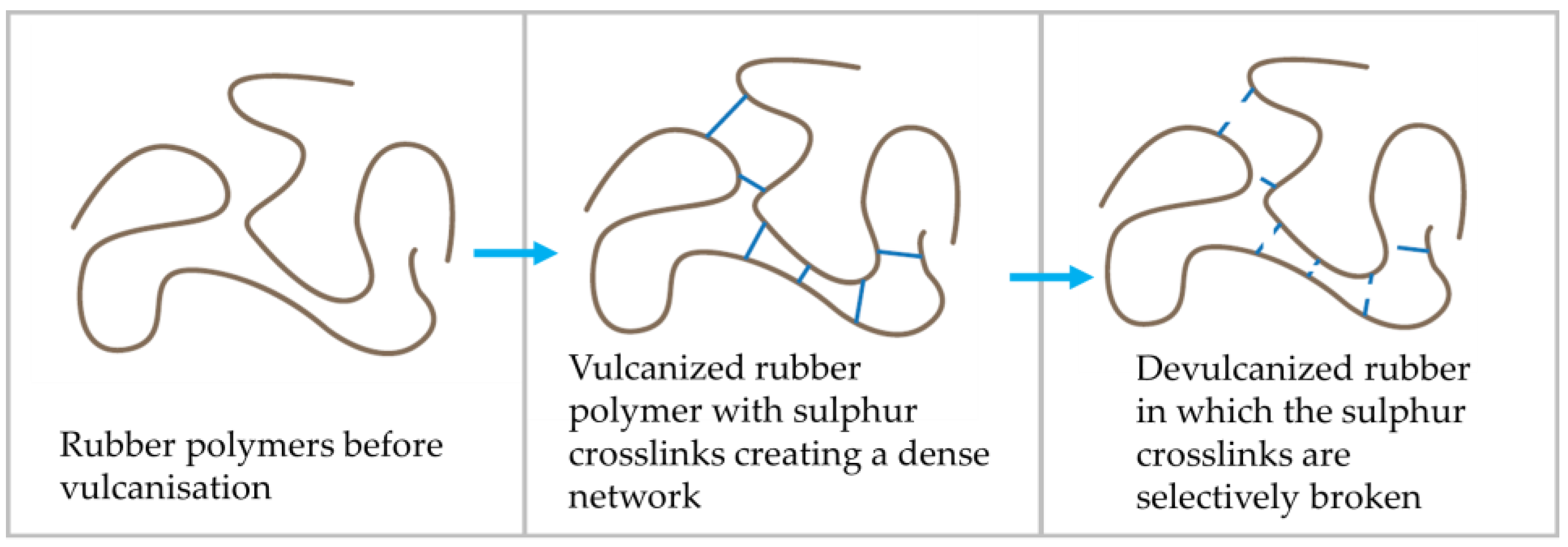 Sustainability 16 02900 g002