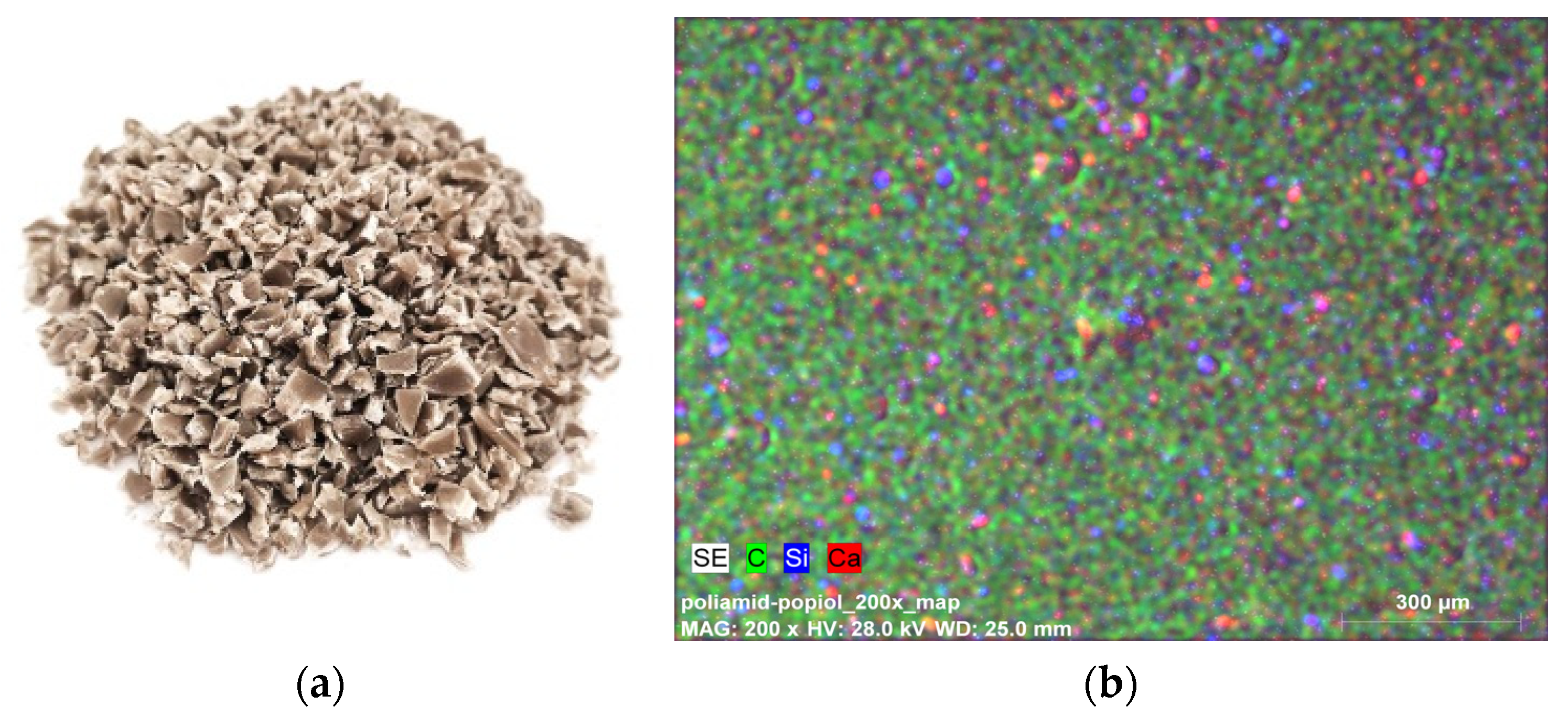Sustainability 16 03079 g001