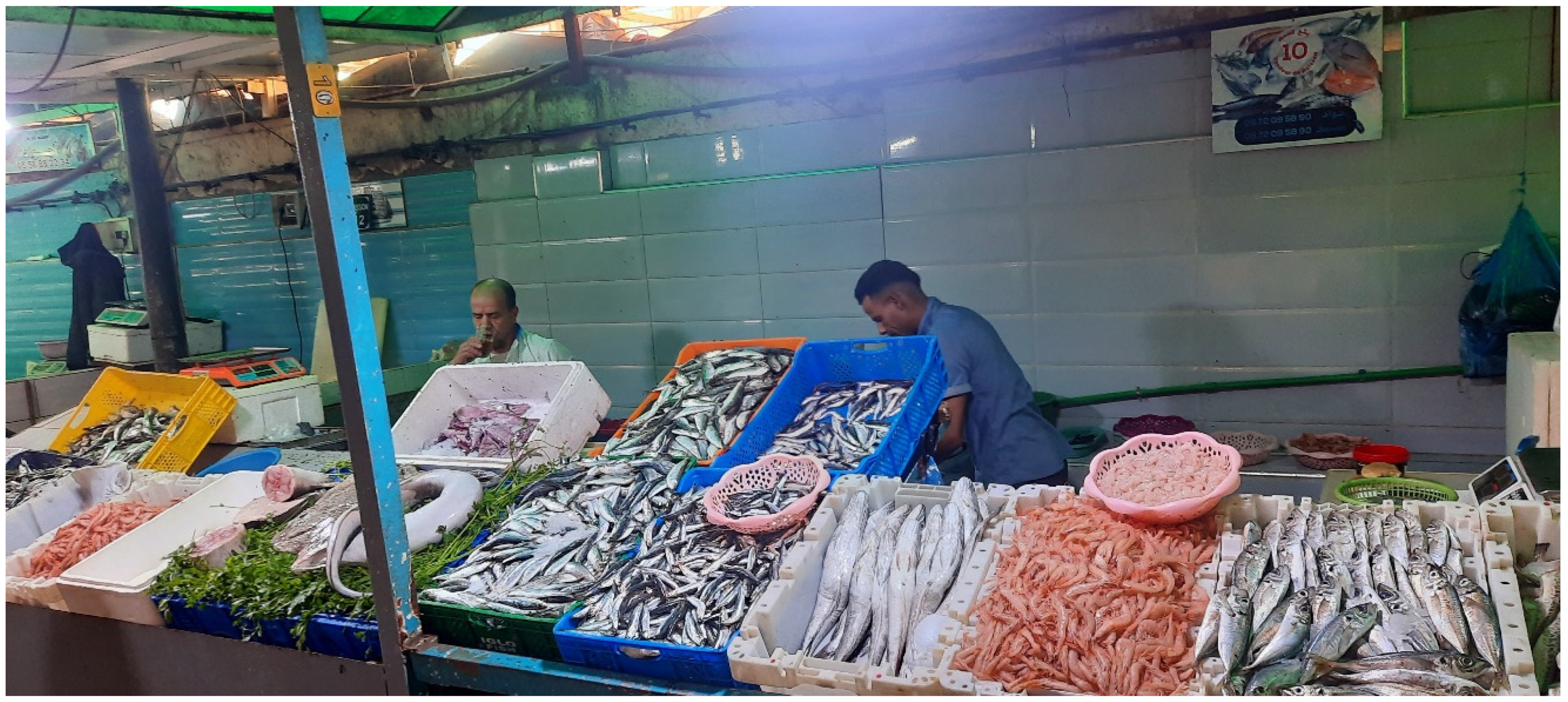 Sustainability 16 03080 g001