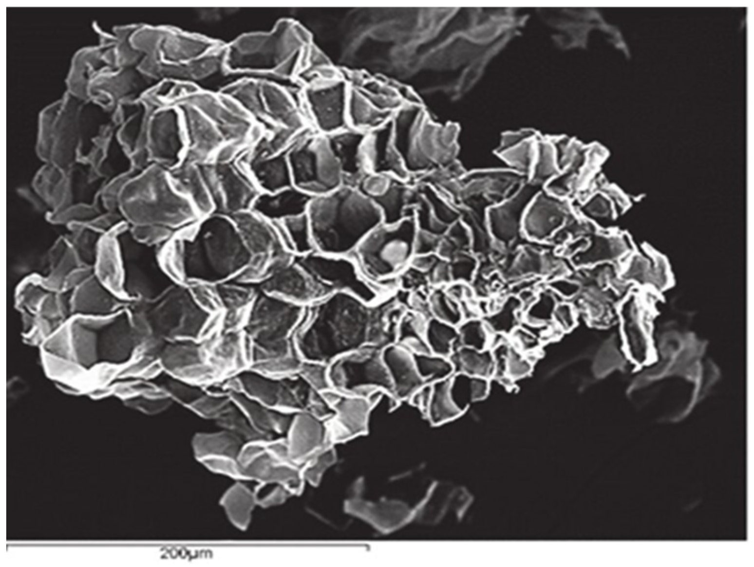 Sustainability 16 03098 g001