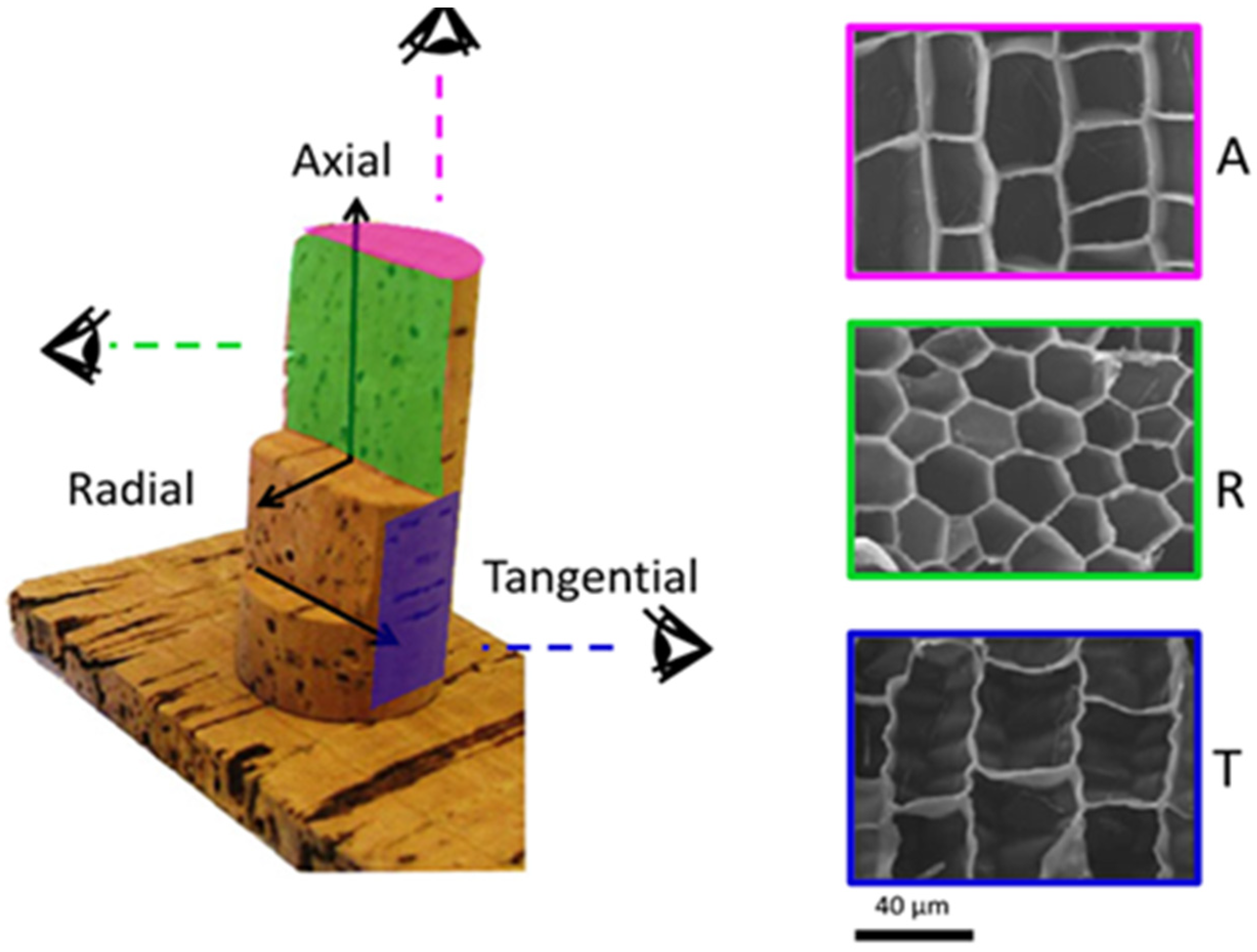Sustainability 16 03098 g002