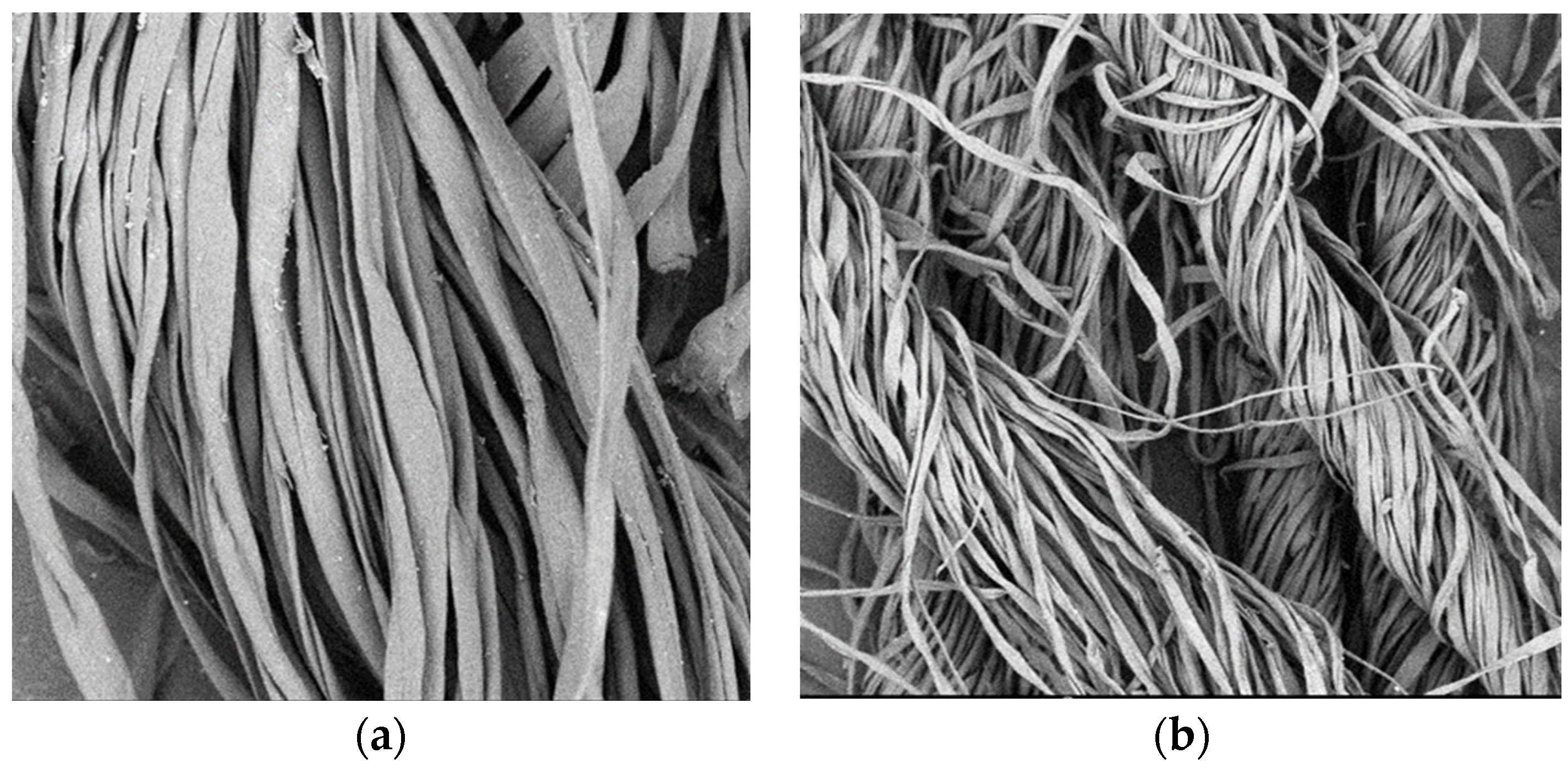 Sustainability 16 03098 g006