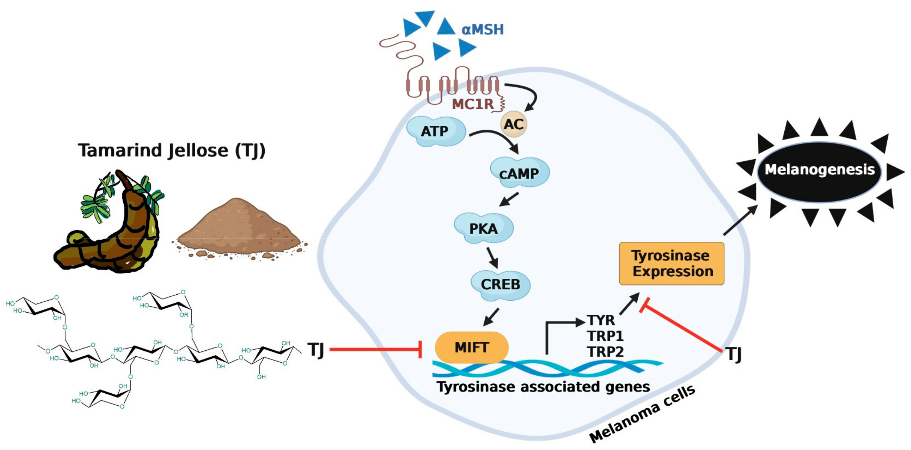 Sustainability 16 03114 g008 Sustainability 16 03114 g008