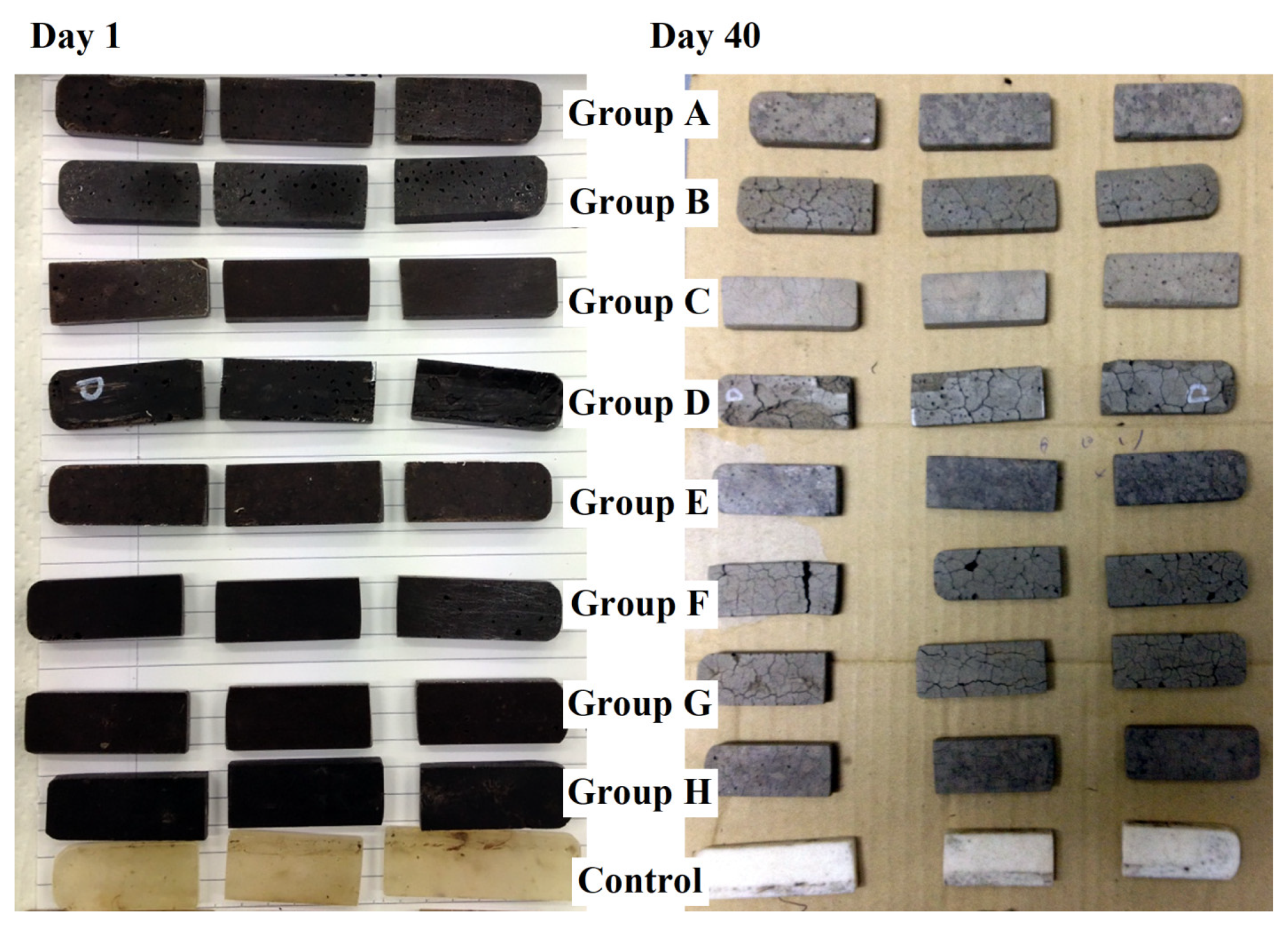 Sustainability 16 03139 g003
