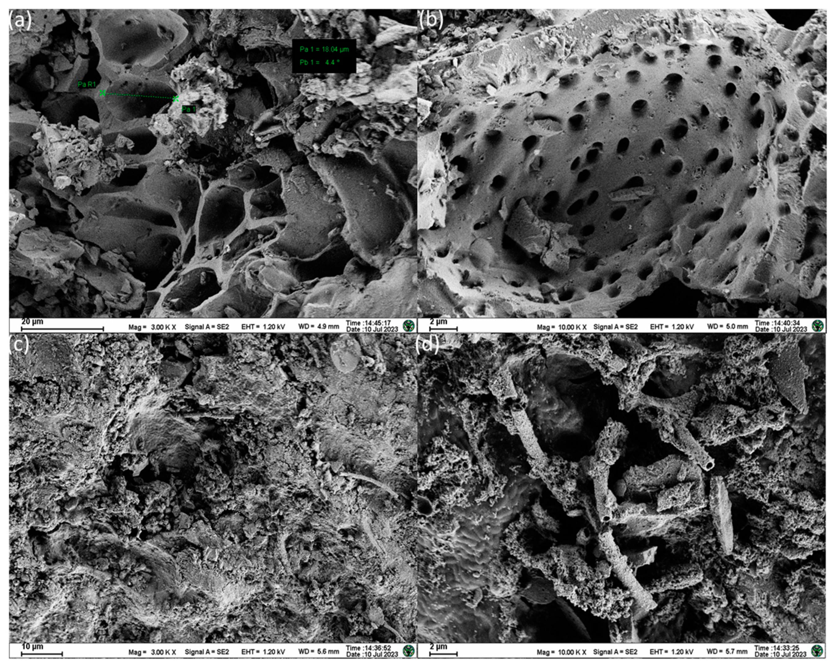 Sustainability 16 03181 g008