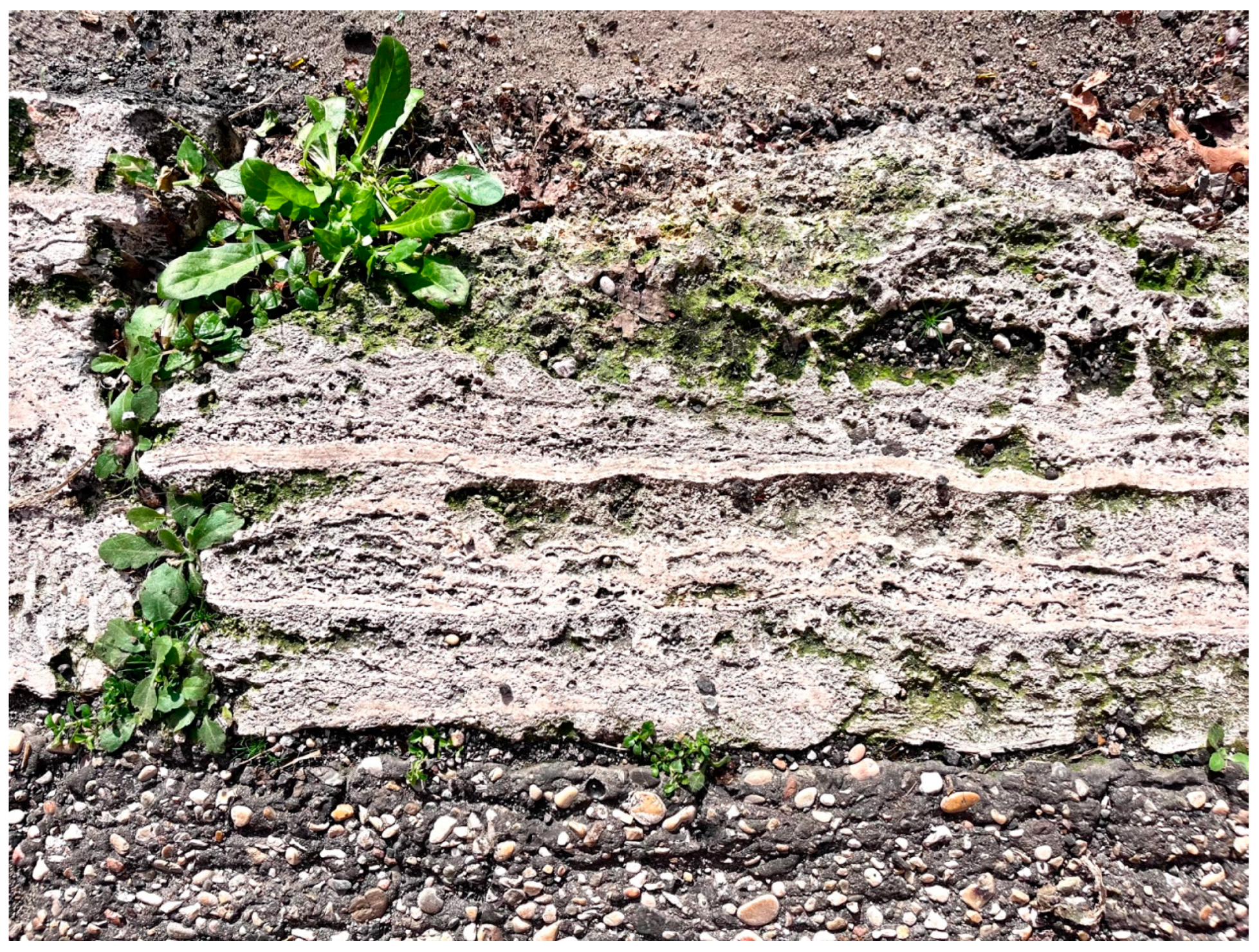 Sustainability 16 03208 g001