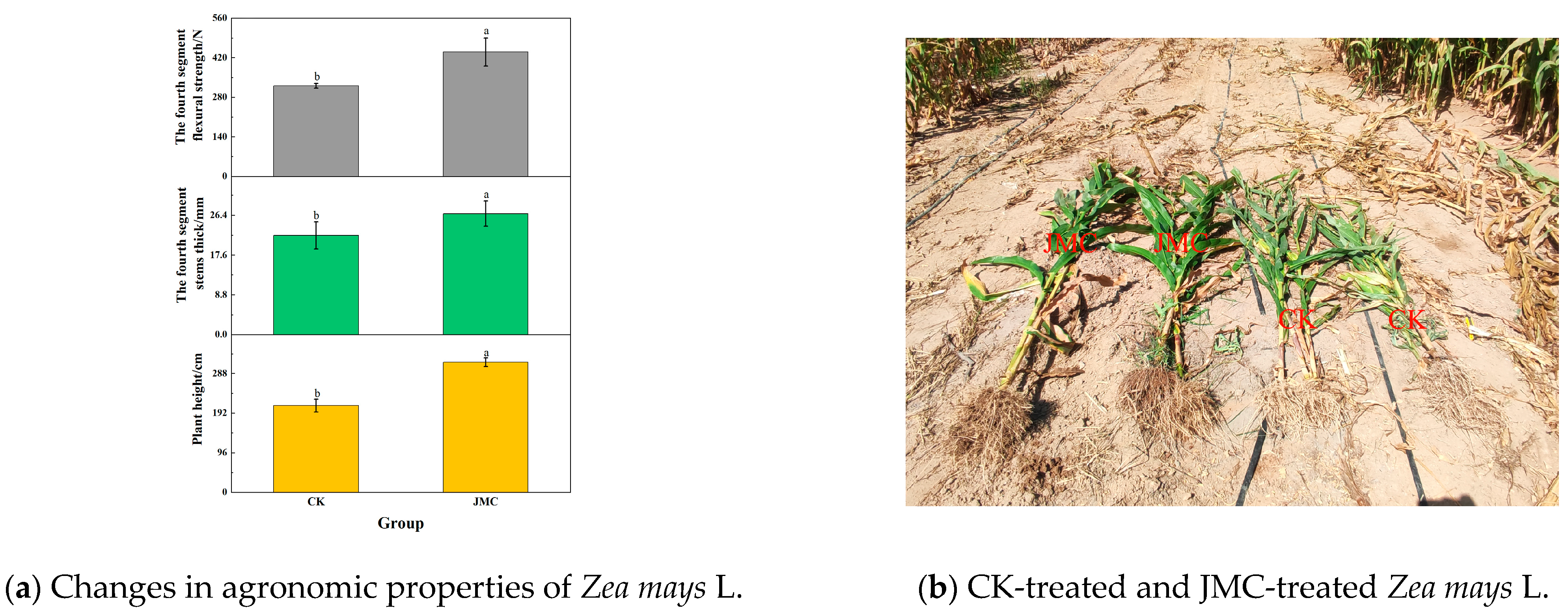 Sustainability 16 03216 g009