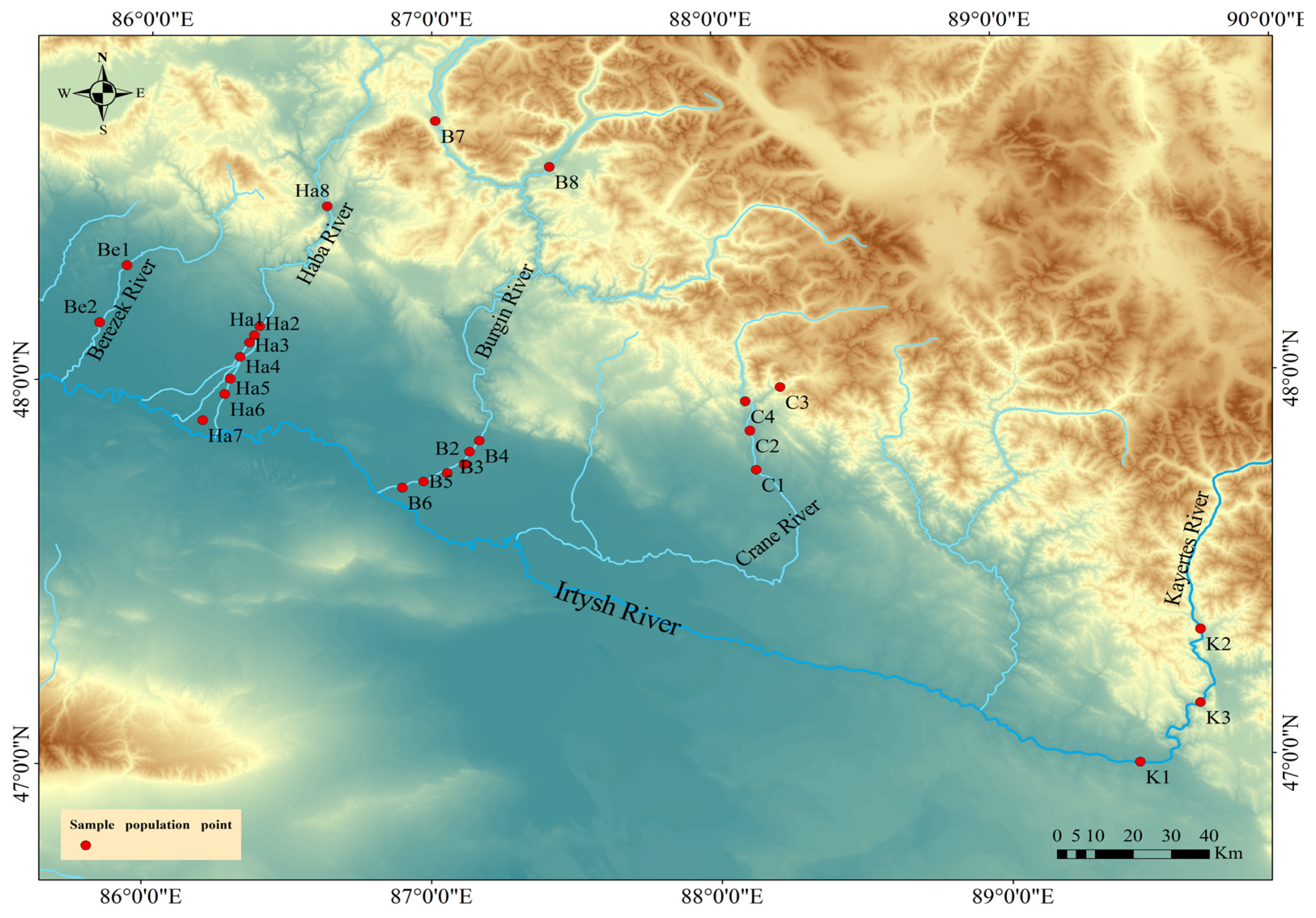 Sustainability 16 03217 g001