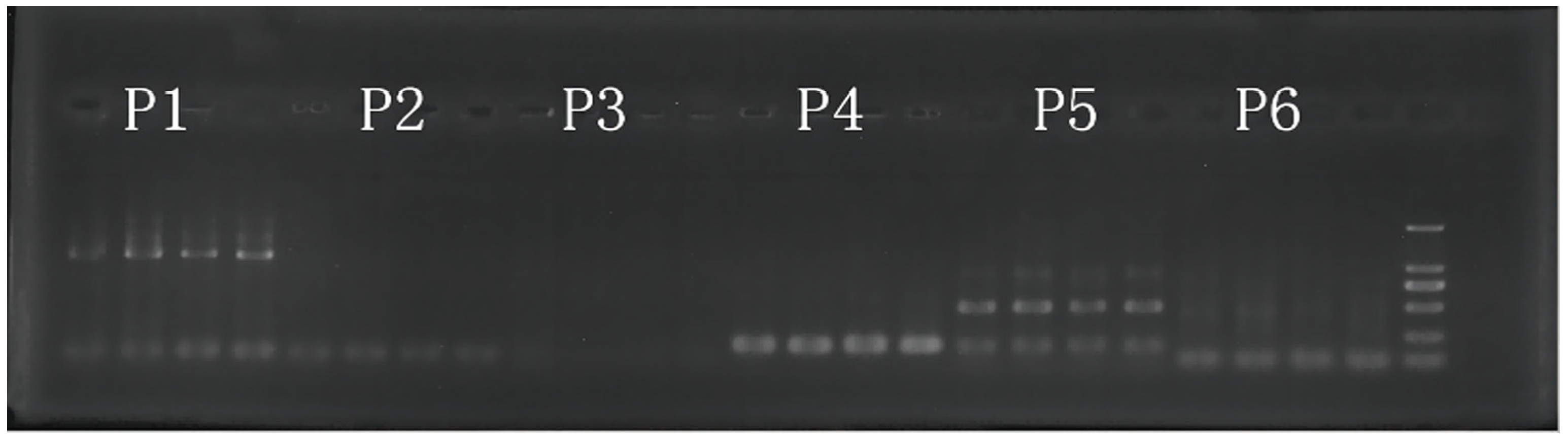 Sustainability 16 03217 g002