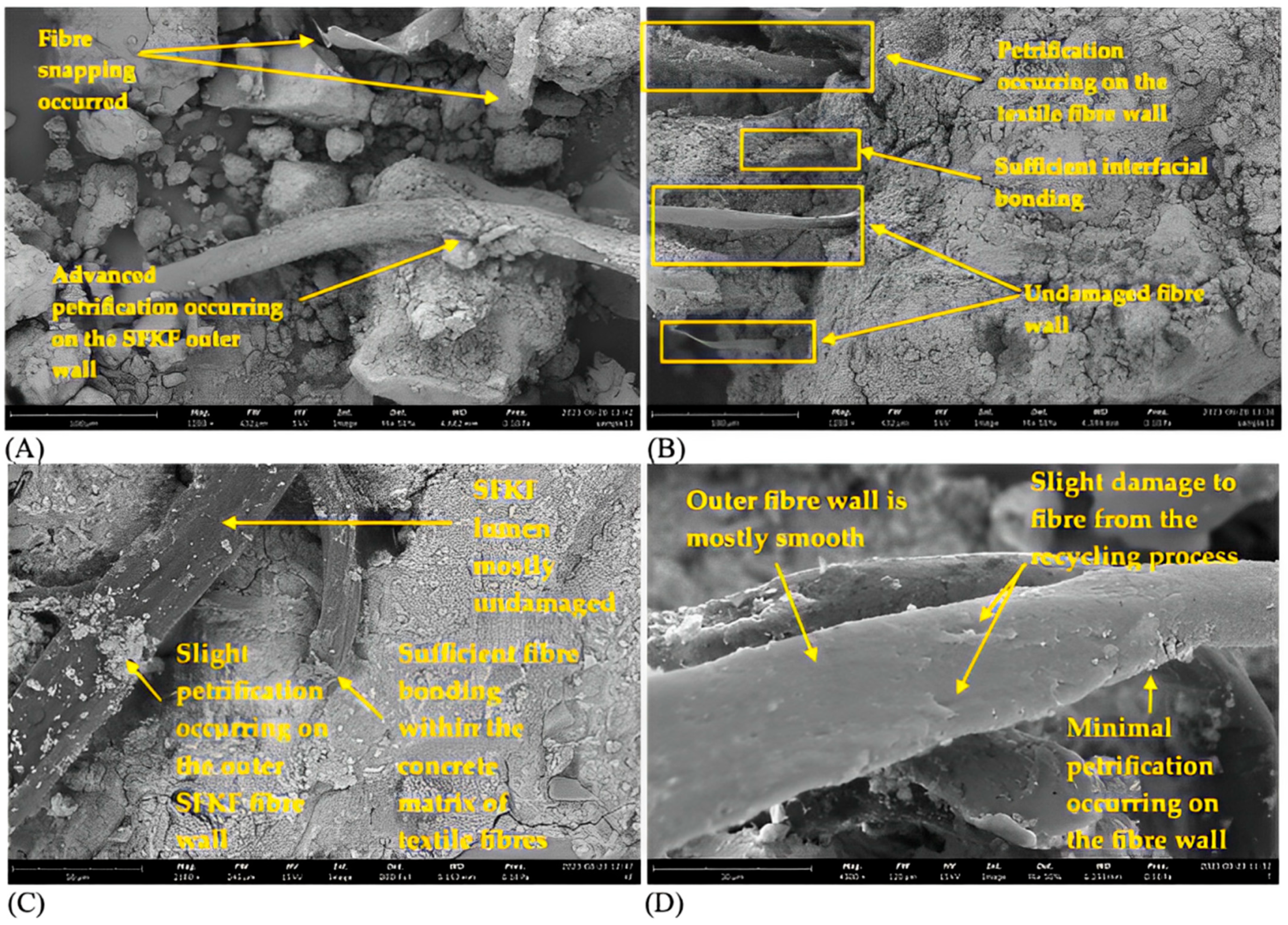 Sustainability 16 03221 g004