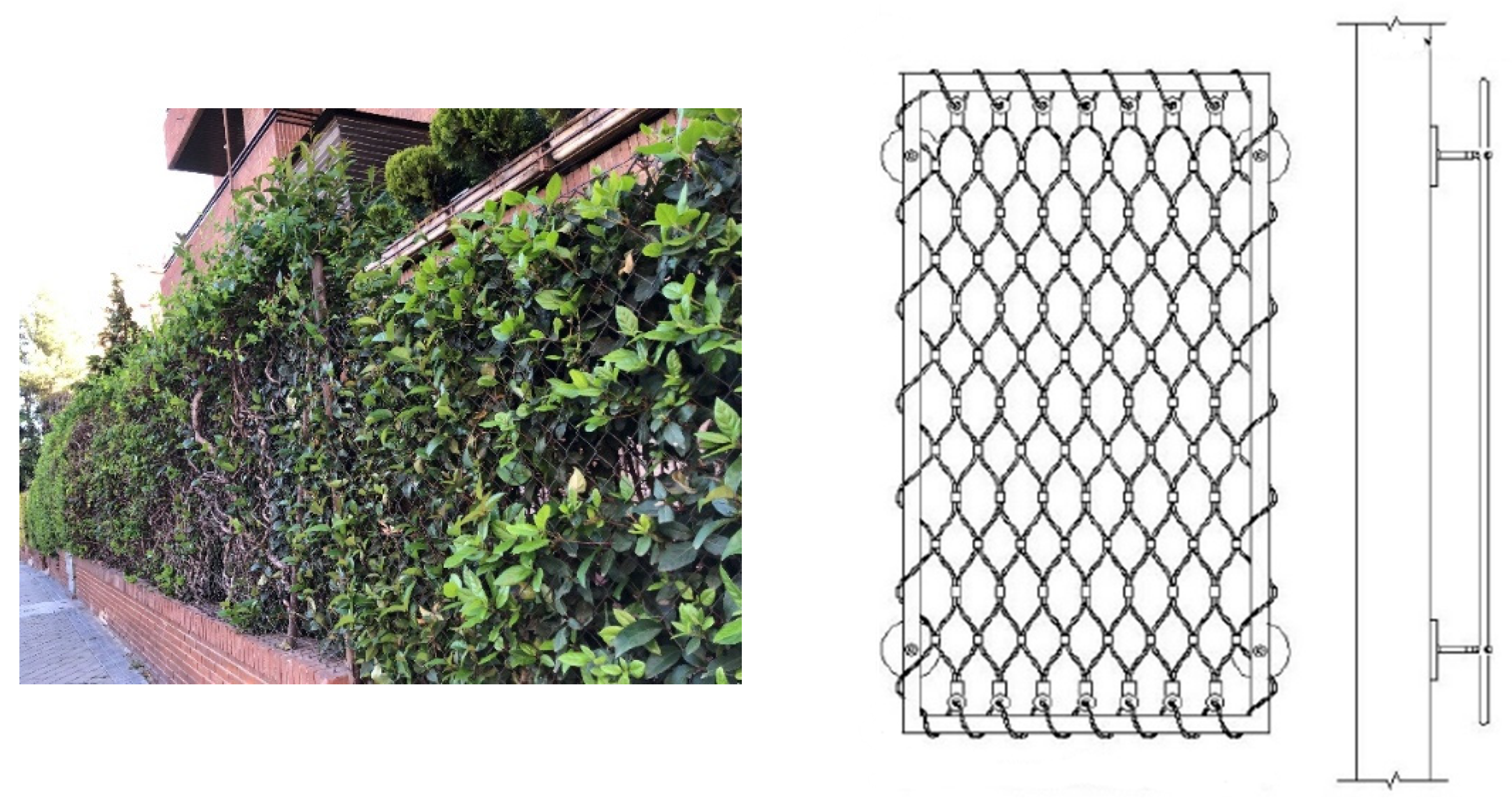 Sustainability 16 03249 g005