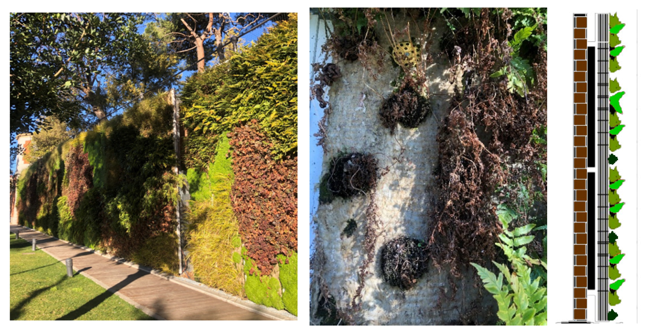 Sustainability 16 03249 g006