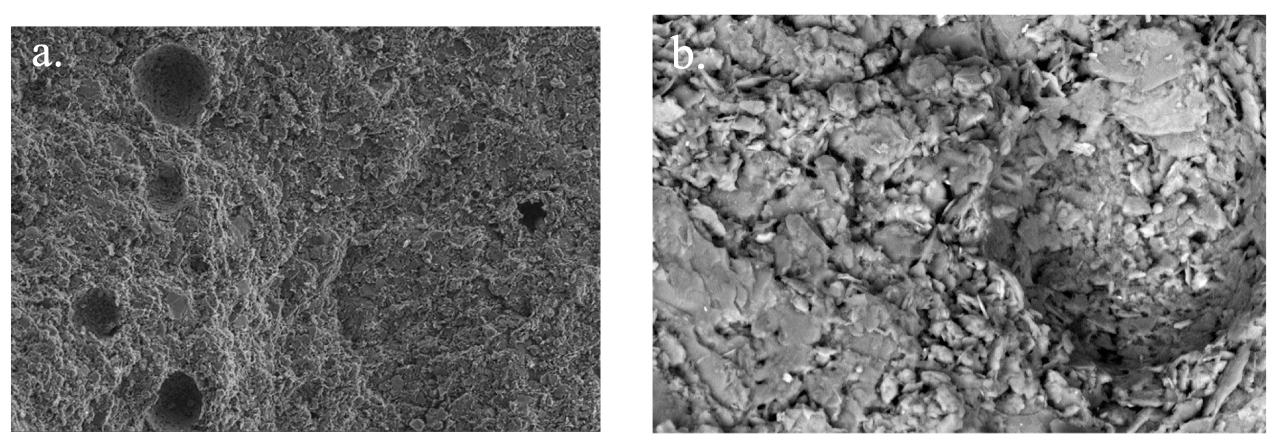 Sustainability 16 03322 g016