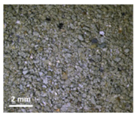 Sustainability 16 03328 i005