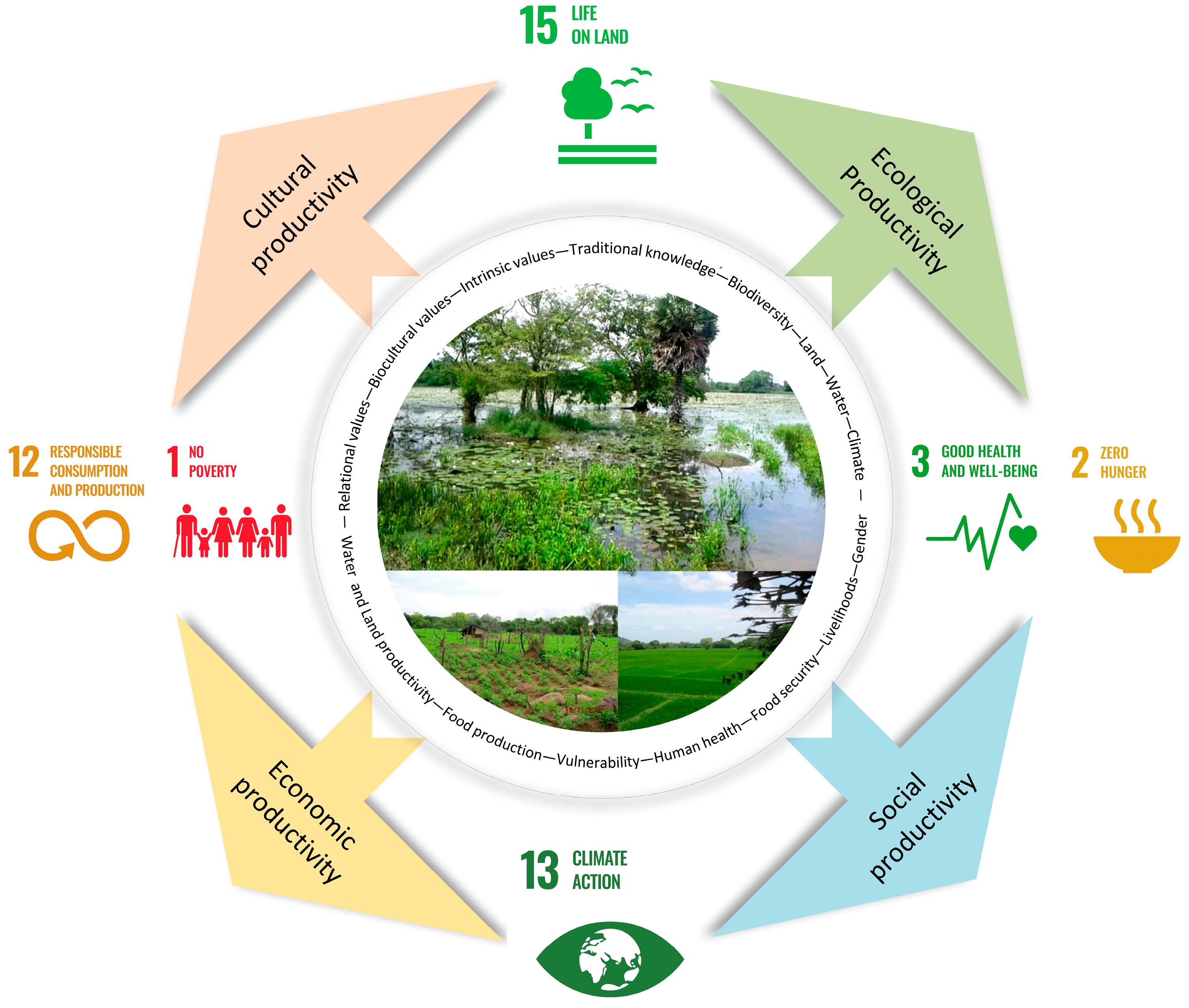 Sustainability 16 03360 g001