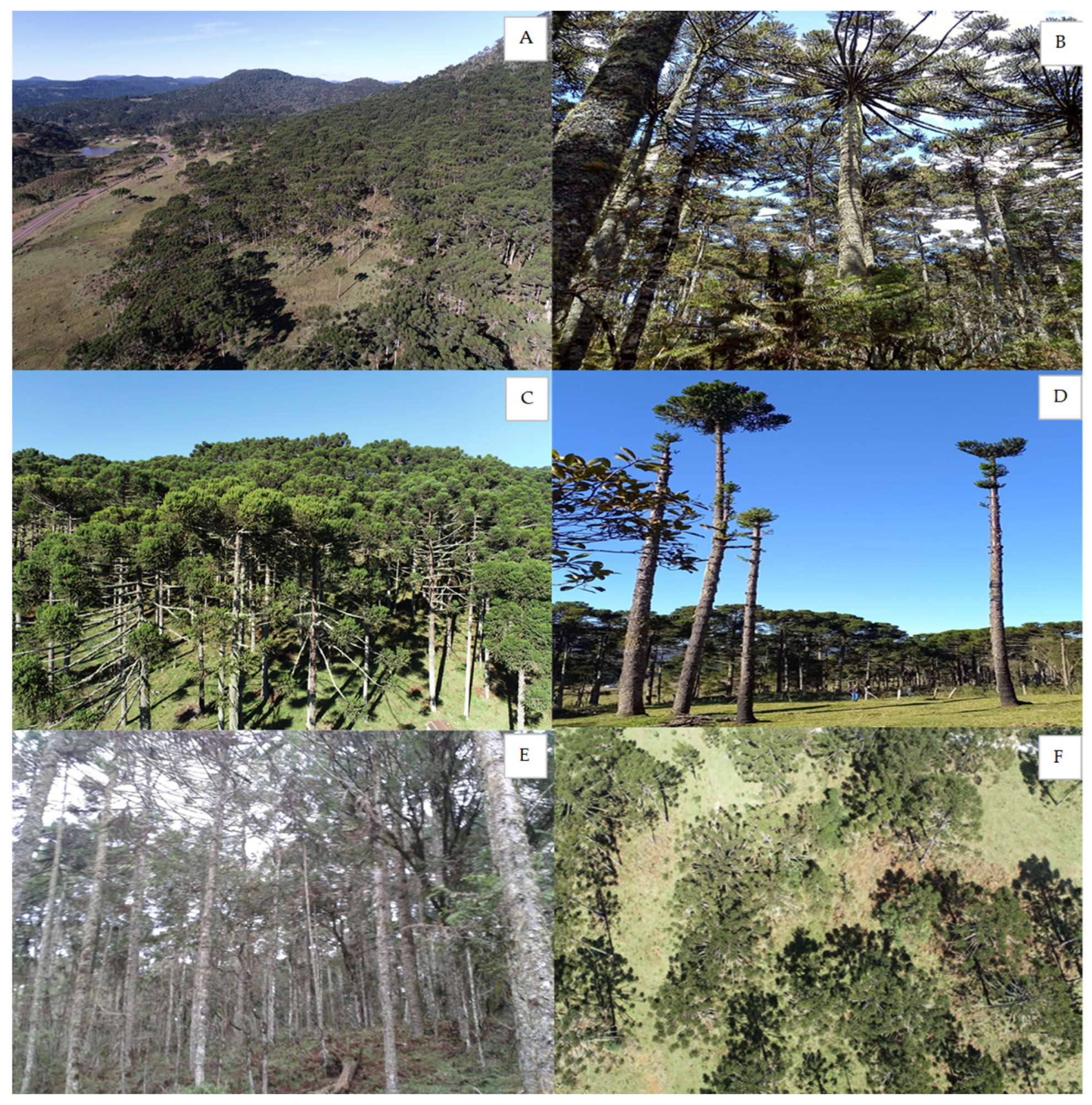 Sustainability 16 03361 g002 Sustainability 16 03361 g002