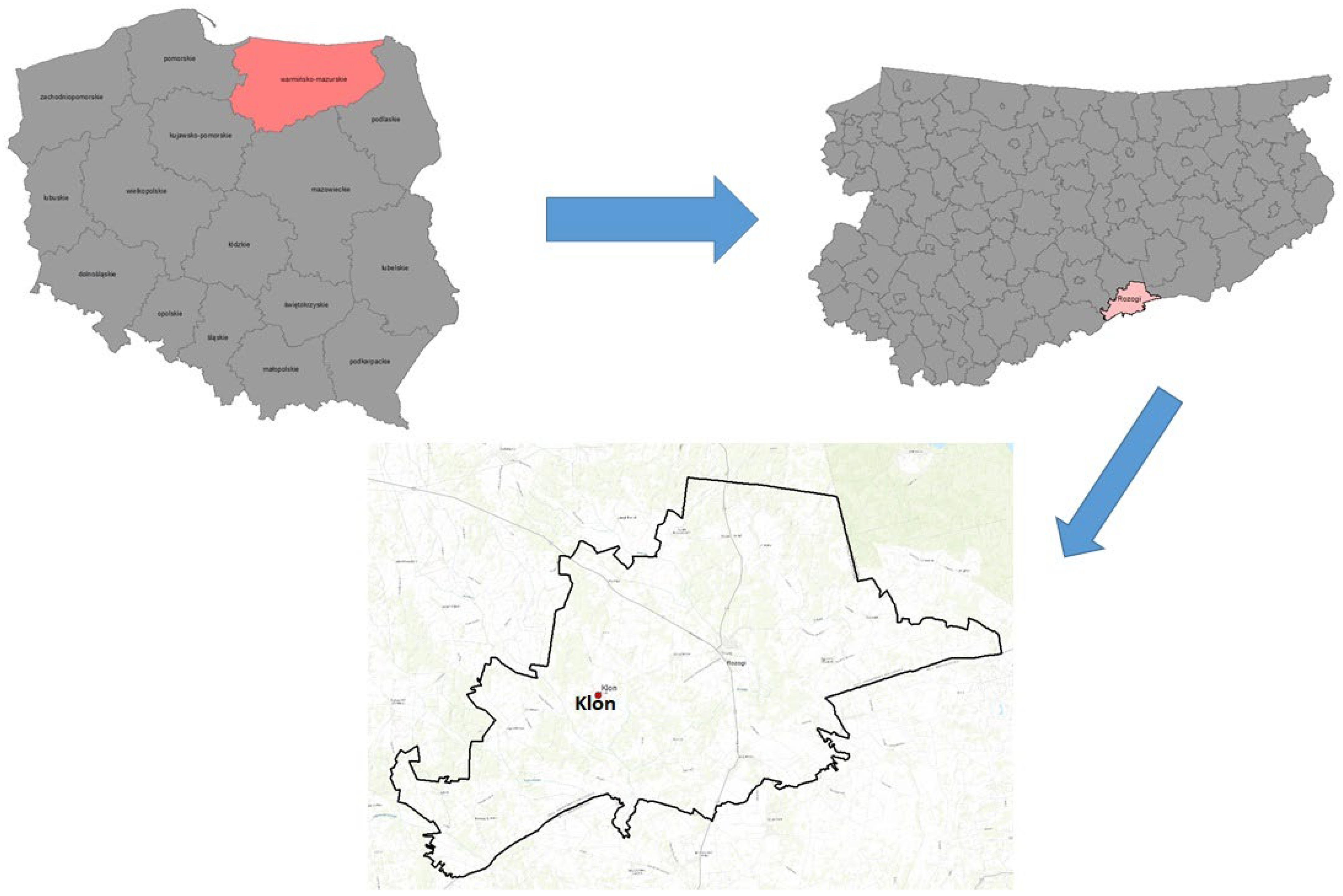 Sustainability 16 03398 g001