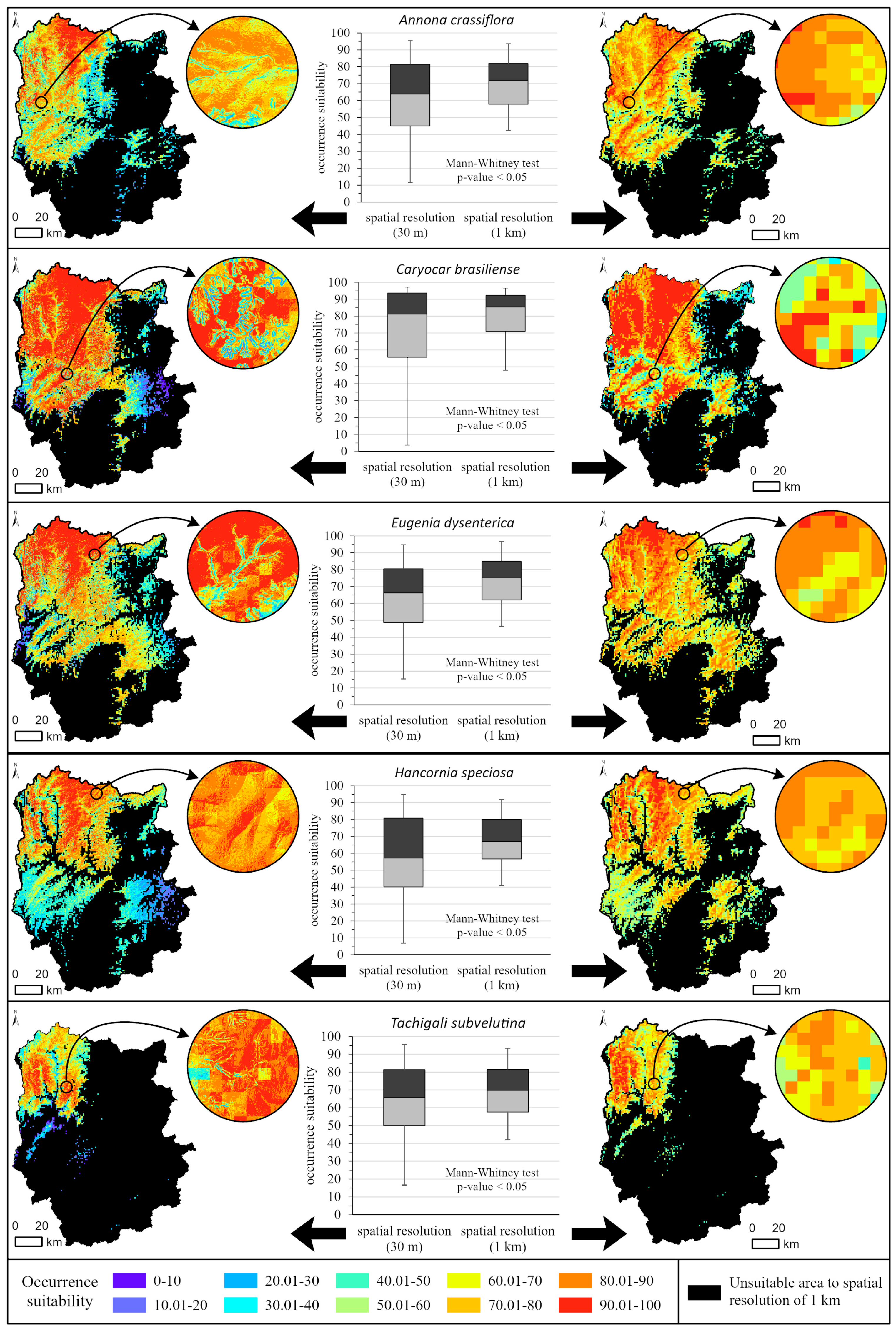 Sustainability 16 03653 g005